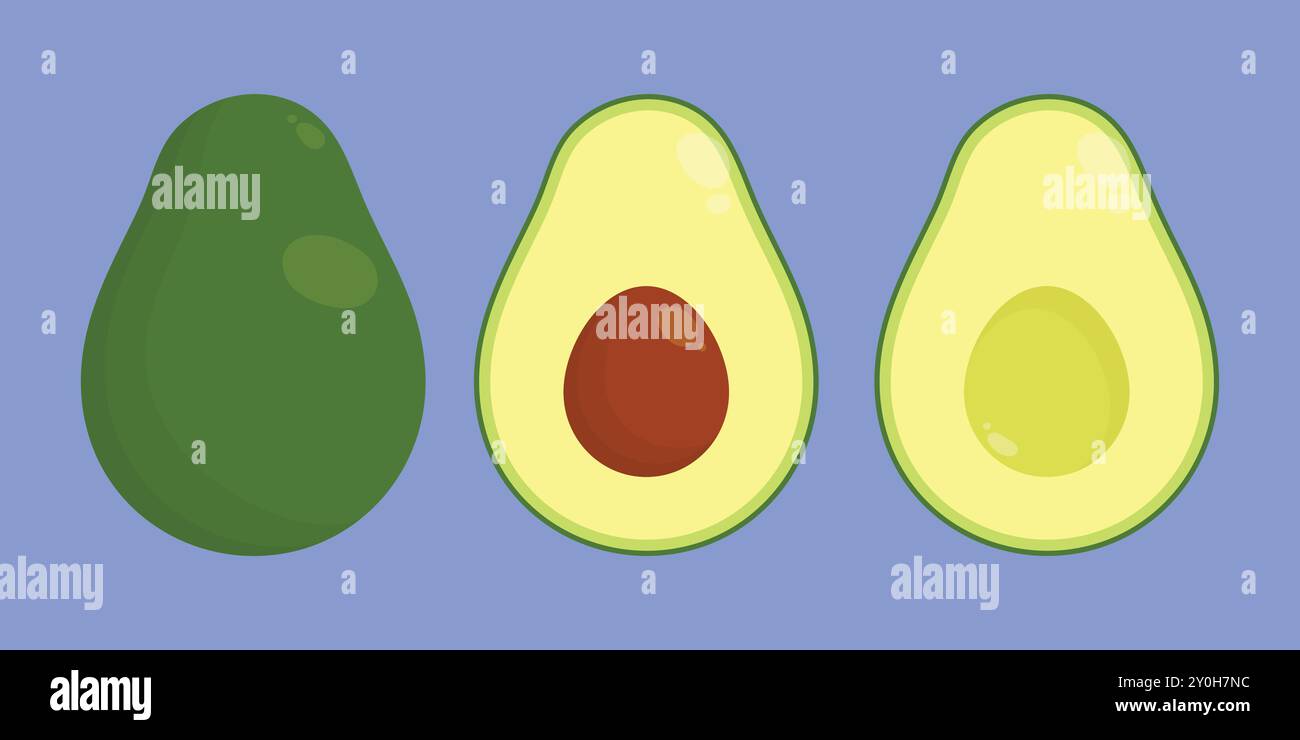 Avocado, half sliced vector illustration. Avocado fruit set vector icon. avocado half cut Stock Vector