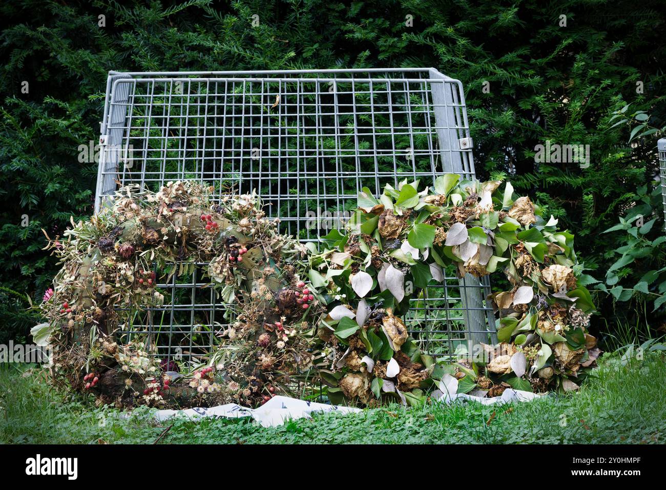 two wilted and dried up funeral wreaths at a waste basket for cemetery garbage Stock Photo