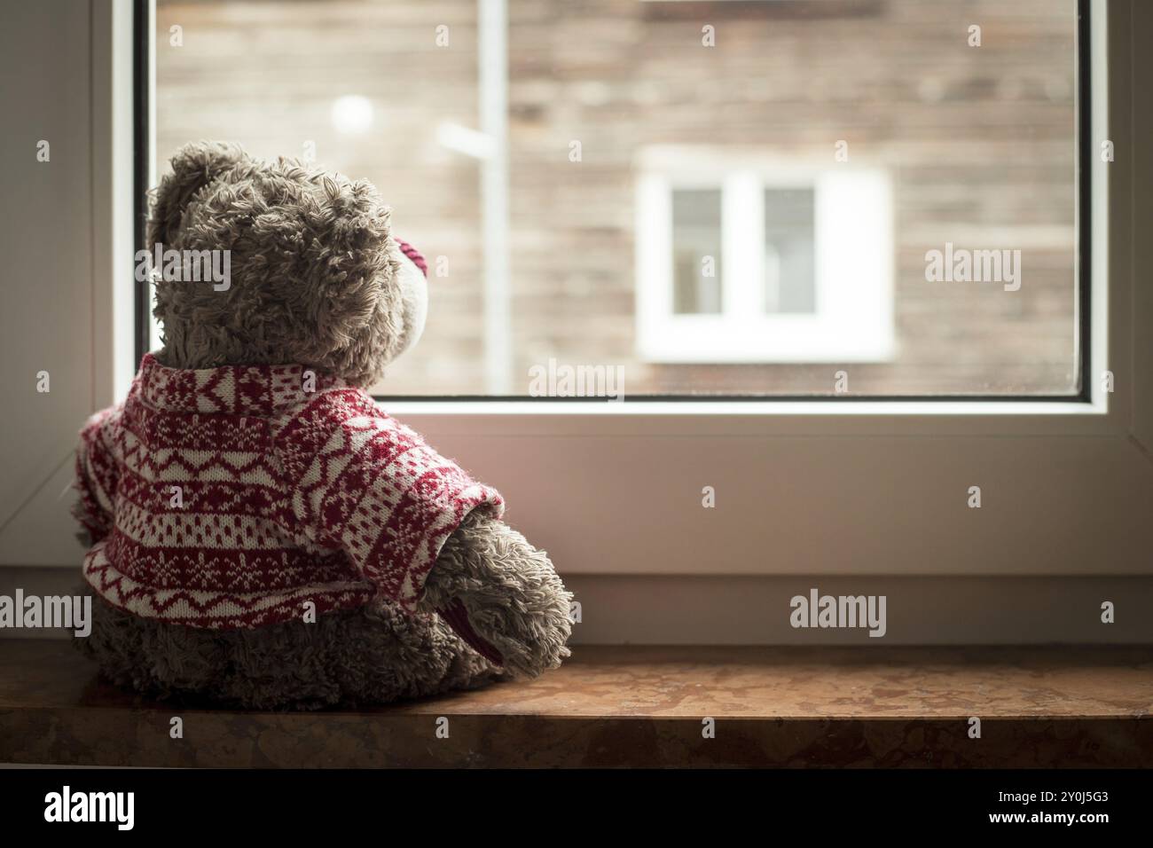 Cute teddy bear is sitting on the windowsill, looking out of the window ...