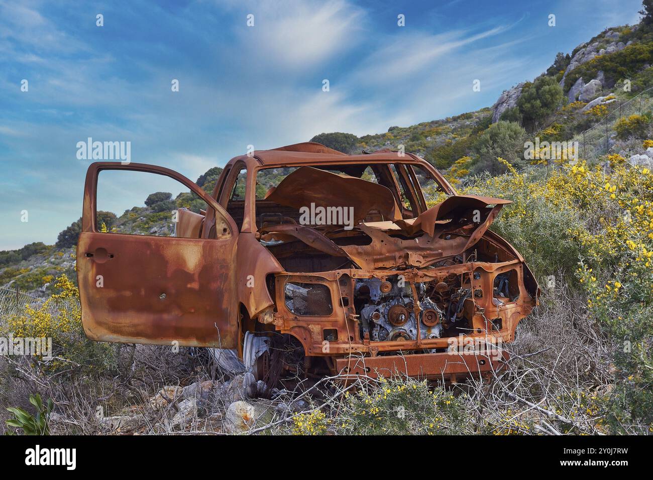 Partia Rusted Car Rusted car amidst blooming wildflowers under a clear blue sky, wrecked ...
