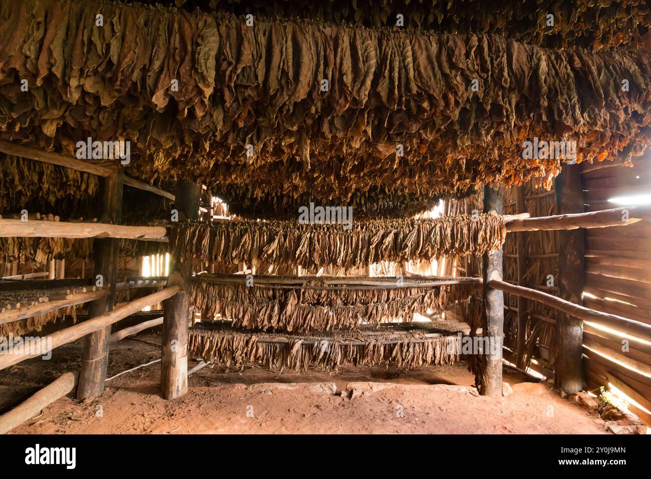 wild bill's tobacco niles 5th Largest Tobacco Retailer in America Building Soon in BH & Niles