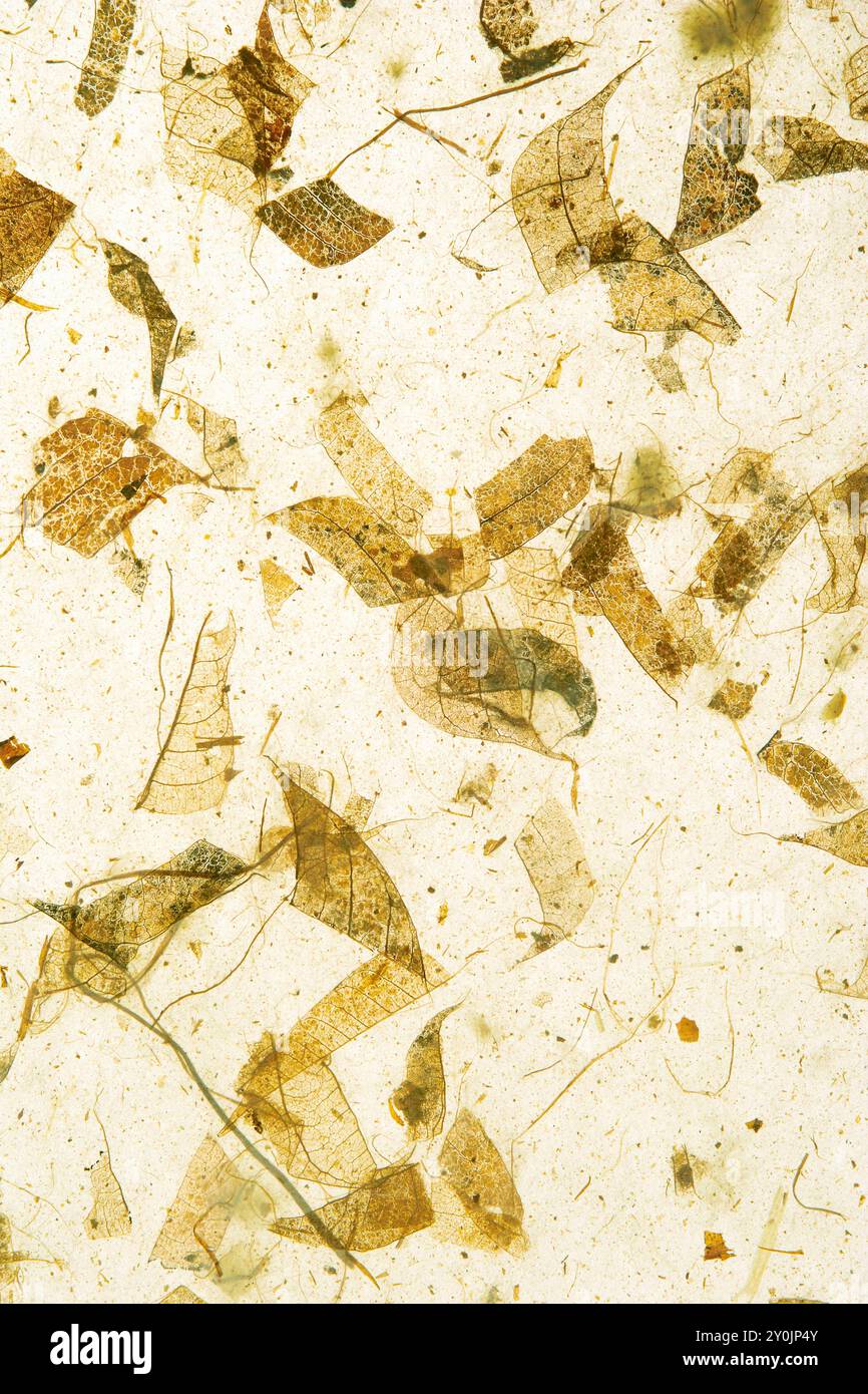 Background material photo japanese hi-res stock photography and images ...