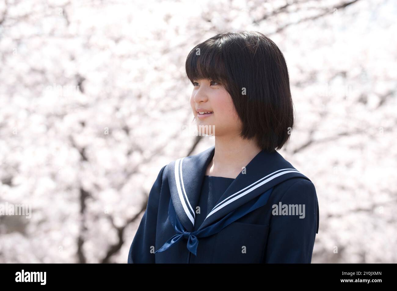 Junior high school girl and cherry blossom Stock Photo - Alamy