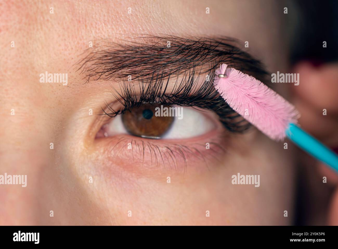 Eyelash Extension. combing the extended eyelashes. A girl with brown eyes does a close-up makeup. Eyelash Care Treatment: eyelash lifting, staining, c Stock Photo