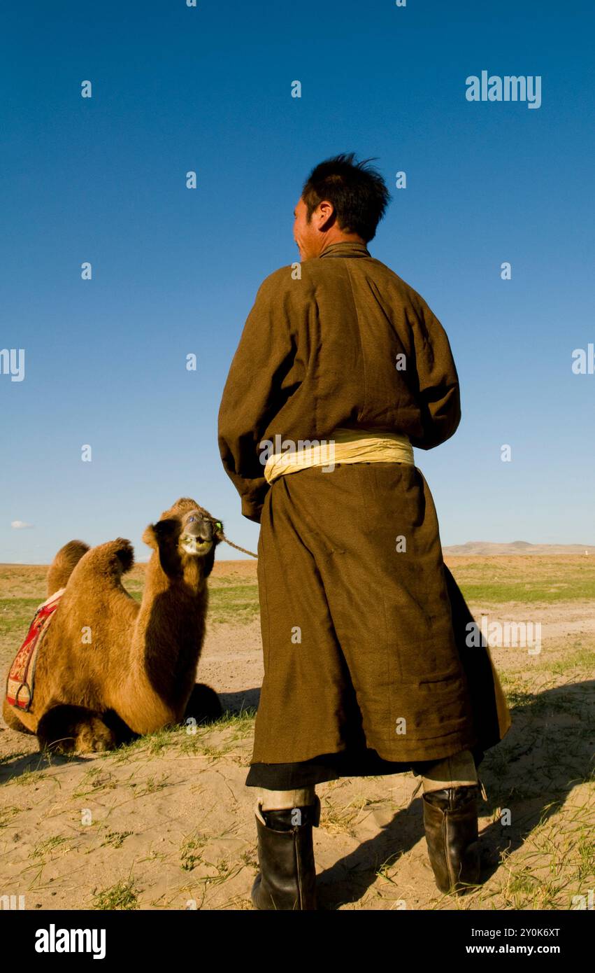 A Mongolian herdsman stands near his double hump camel in the vast ...