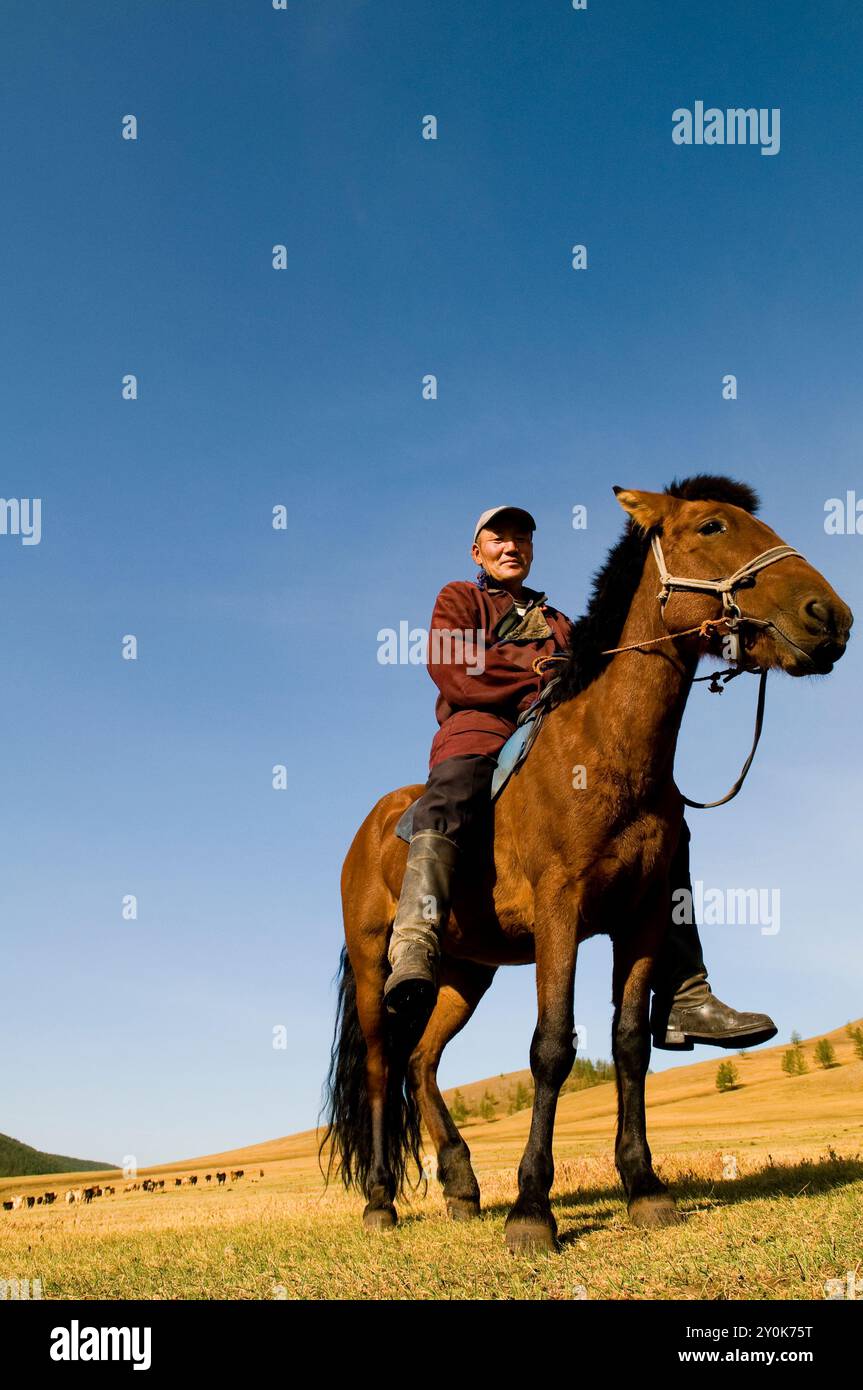 A Mongolian nomad on their horse Stock Photo - Alamy