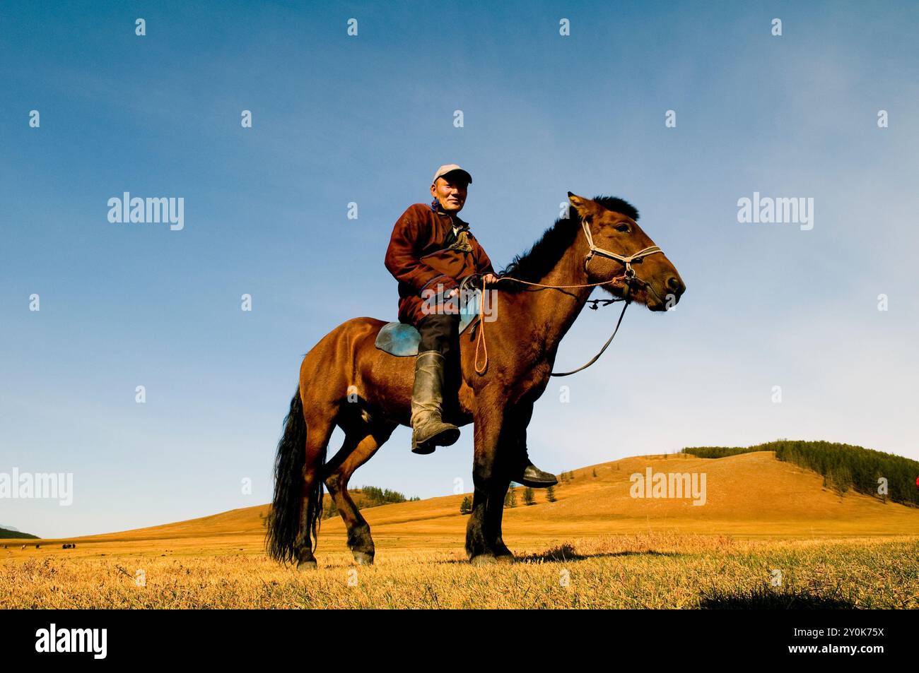 A Mongolian nomad on his horse. Orkhon valley, Mongolia Stock Photo - Alamy