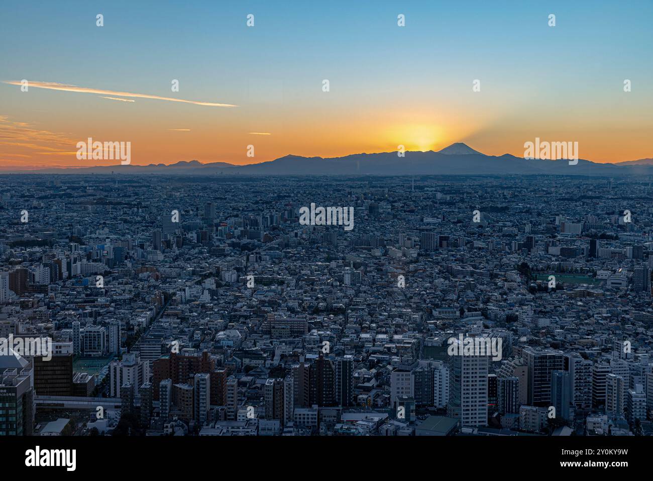 Tokyo cityscape and mount fuji hi-res stock photography and images - Alamy
