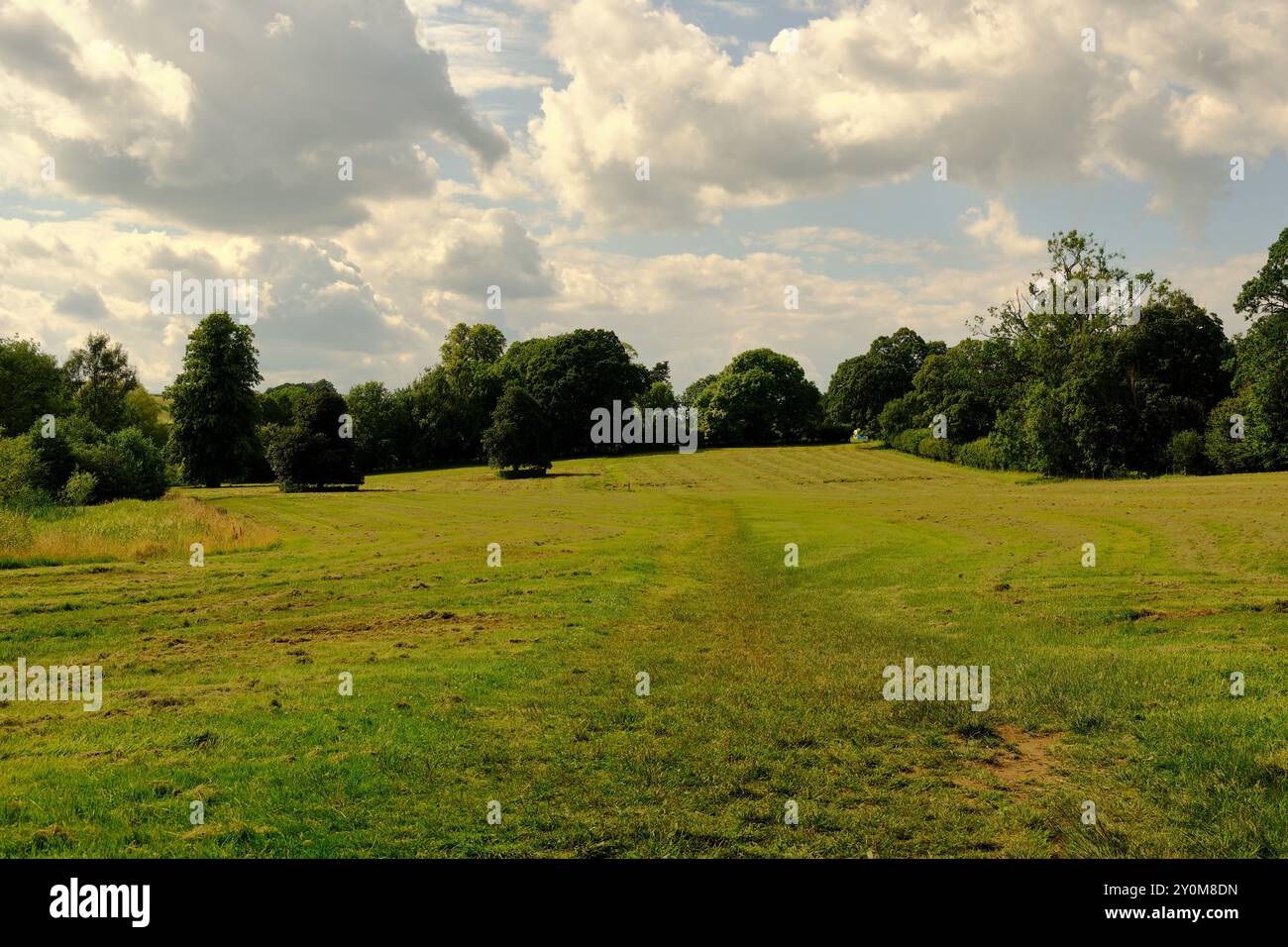 Cotswolds landscape with flowers hi-res stock photography and images ...