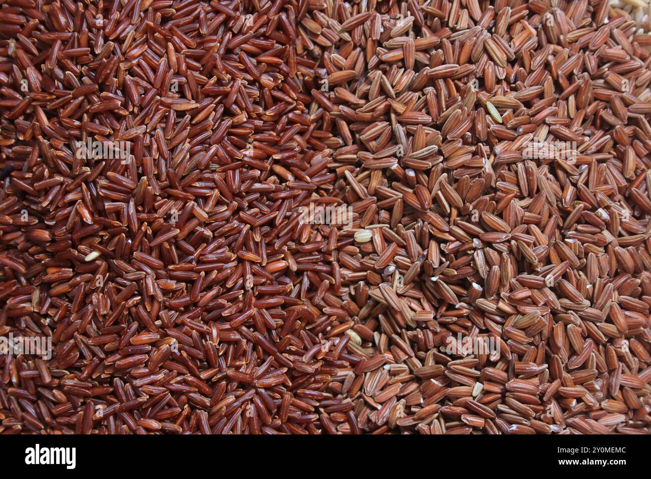 Different Rice Varieties in Rustic Kitchen. Wild Rice With Brown Rice ...