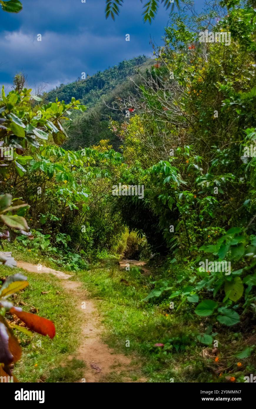 Sendero reino de las aguas hi-res stock photography and images - Alamy