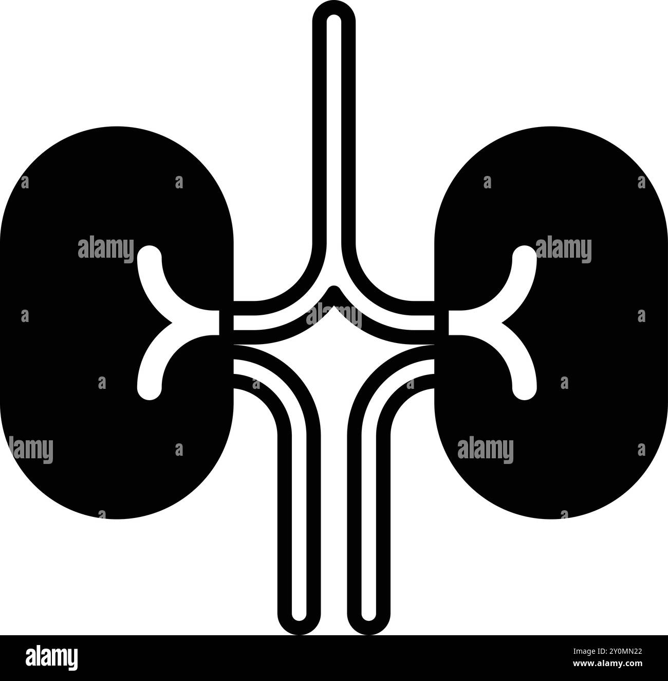 Kidney drawing Black and White Stock Photos & Images - Alamy
