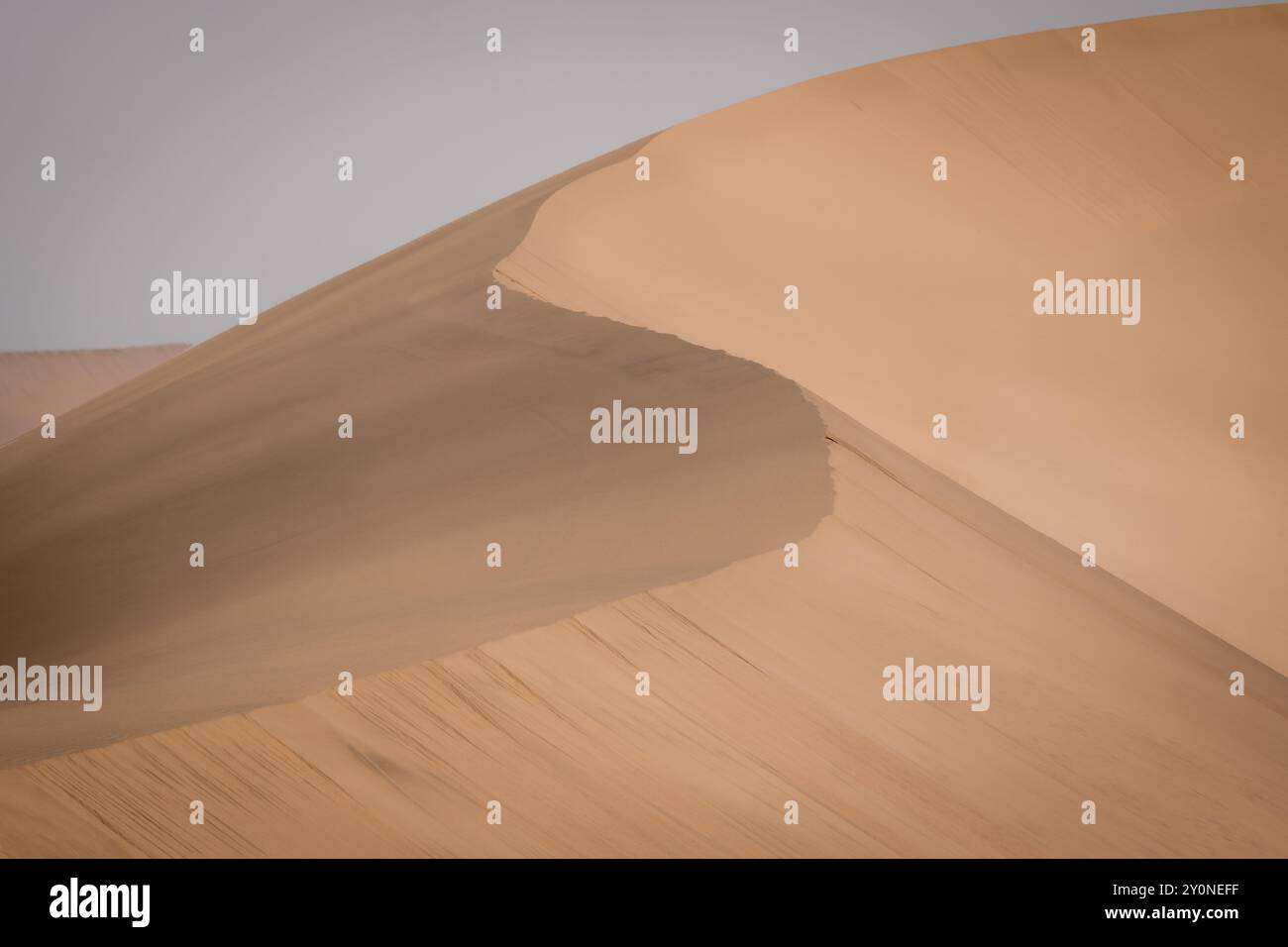 A sweeping curved ridge running up a large sand dune in the Namib Desert near Swakopmund, Namibia Stock Photo