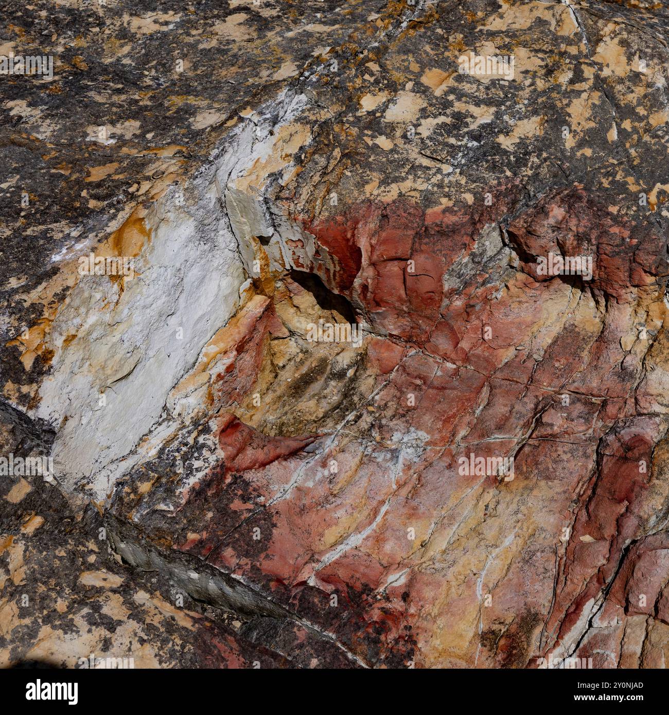 Colorful rock formation surface along the shoreline of Dennes Point ...
