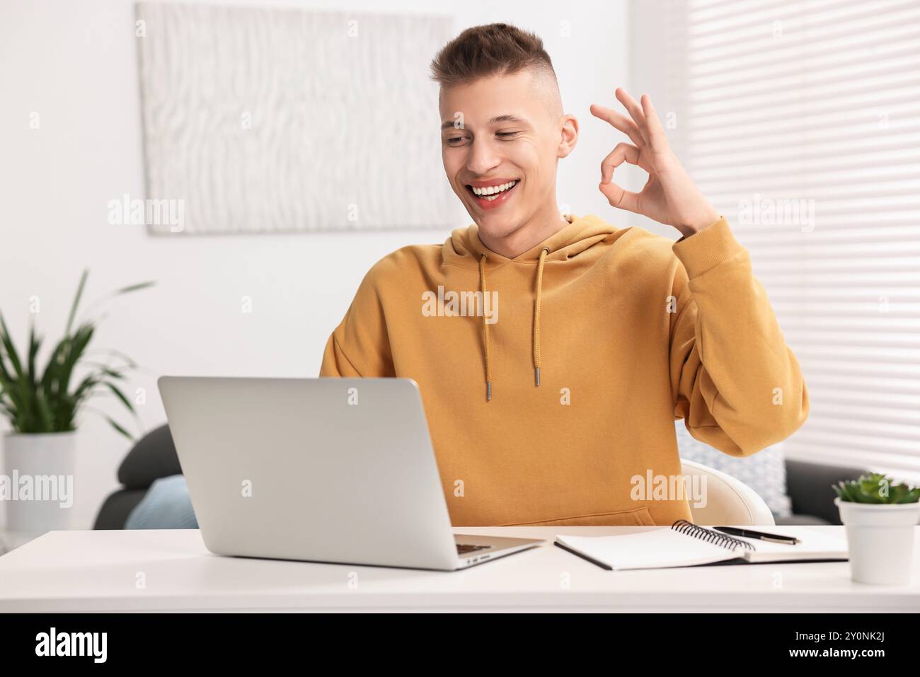 Young man using sign language during video call indoors Stock Photo