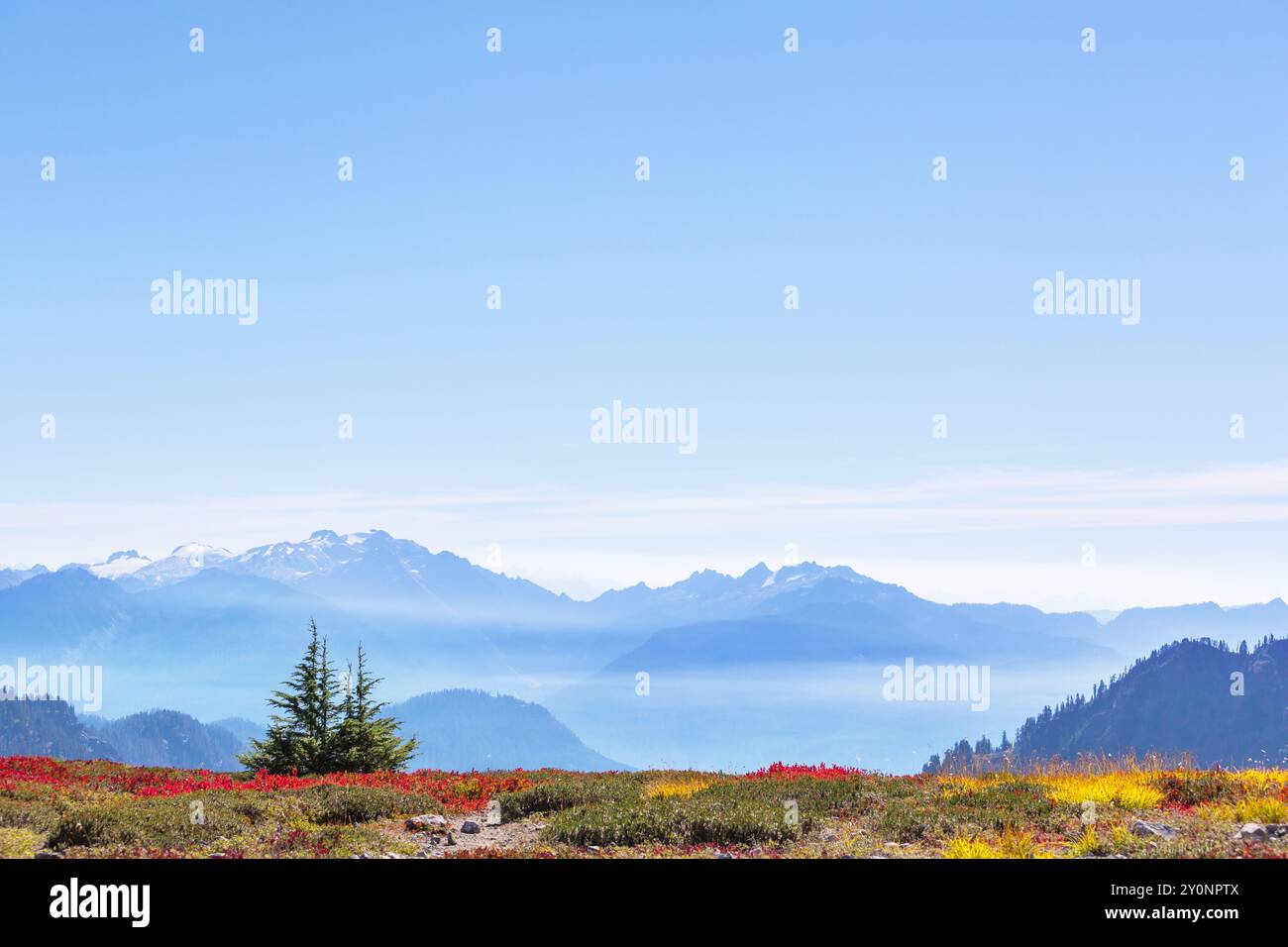Mt washington summit house hi-res stock photography and images - Alamy