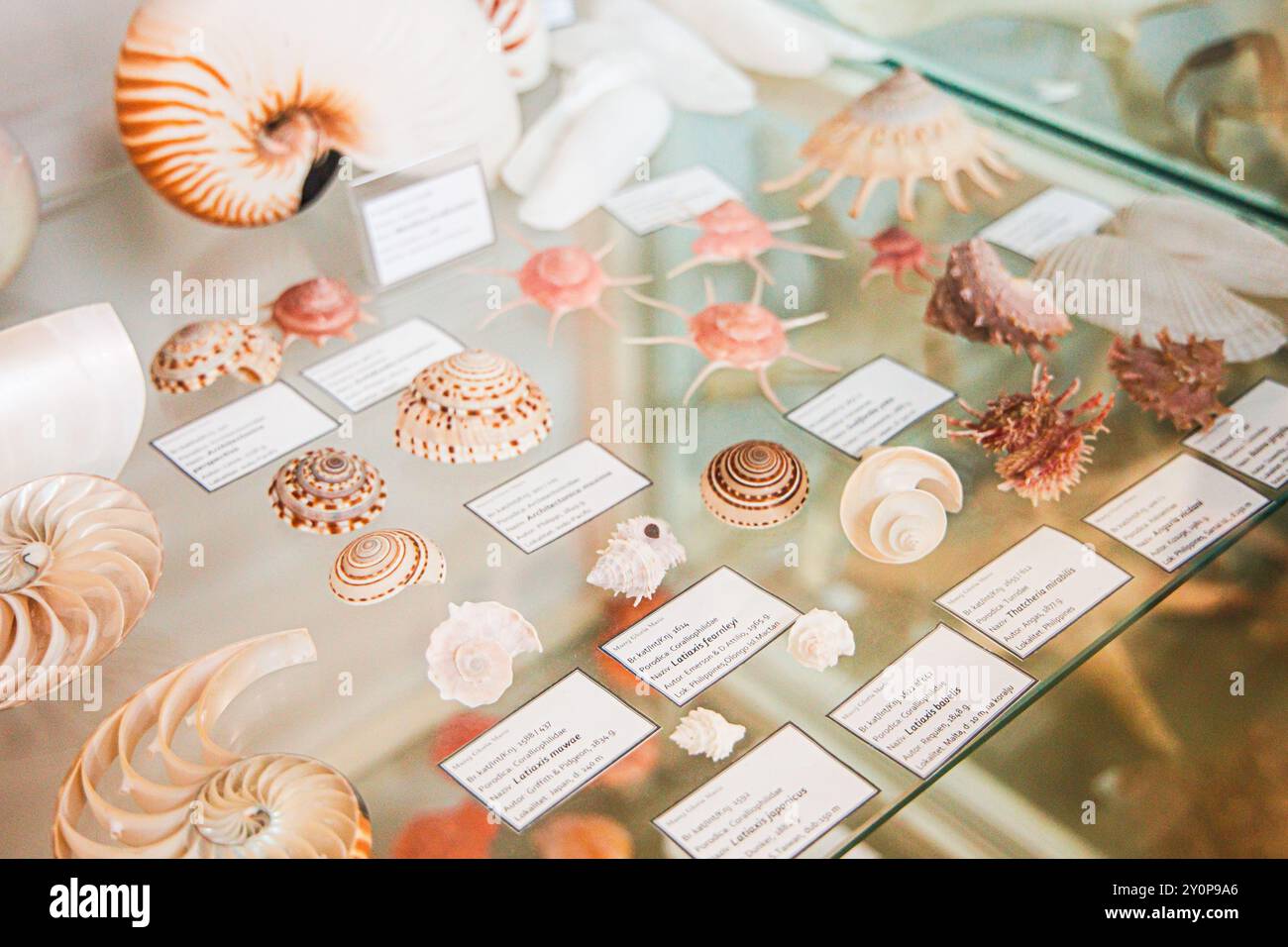 Providing detailed identification hi-res stock photography and images ...