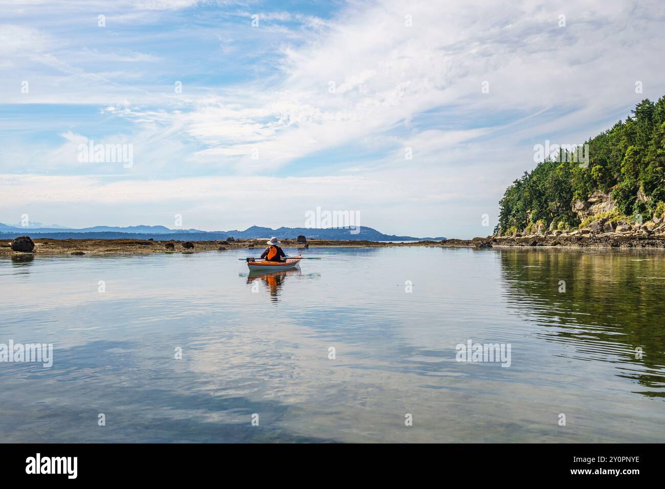 A solitary kayaker paddling in a sheltered bay in the Salish Sea Stock ...