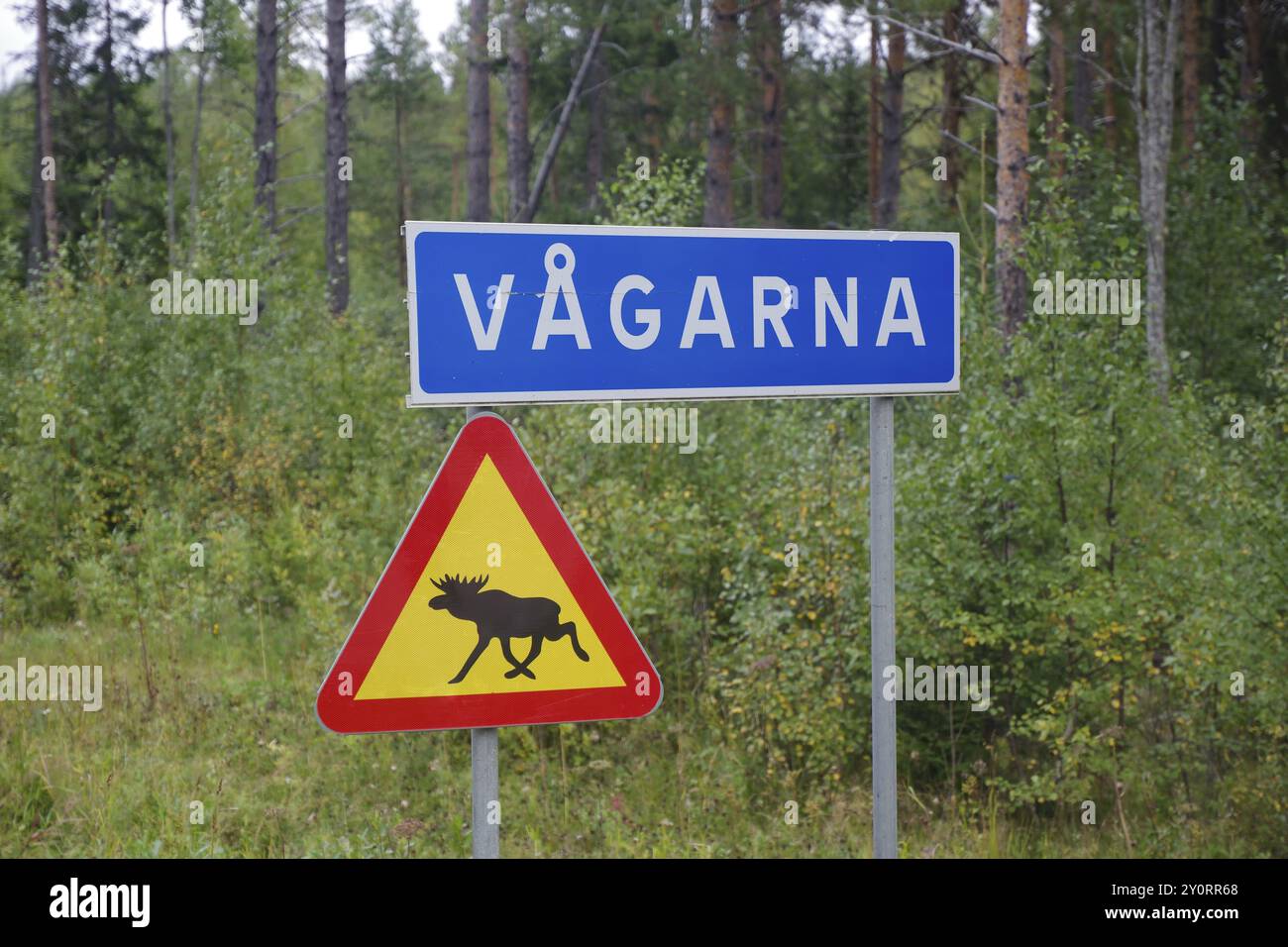 Road signs in front of a forest, one warning of moose, the other with the place name VAGARNA, heraldic animal, Jaemtland, Sweden, Europe Stock Photo