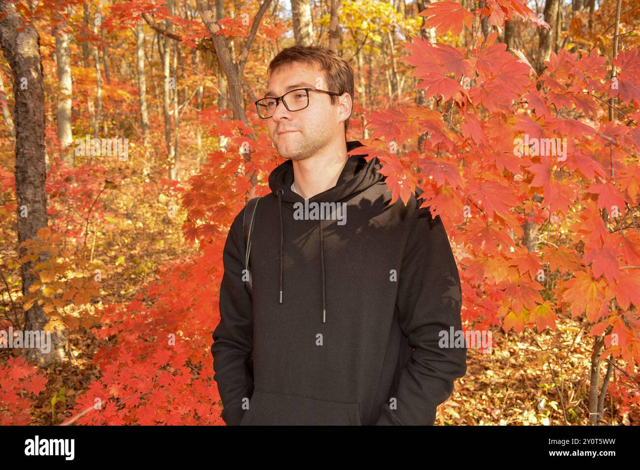 Portrait man walking forest hi-res stock photography and images - Alamy