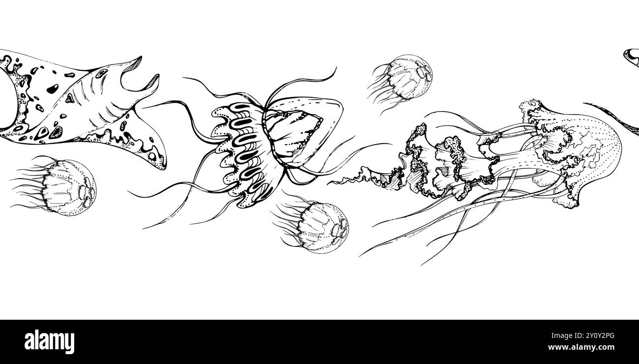 Marine life, sea ocean underwater creatures fish, shells algae seaweed, Ink and pen sketch hand drawn. Seamless banner illustration, stylized Stock Vector