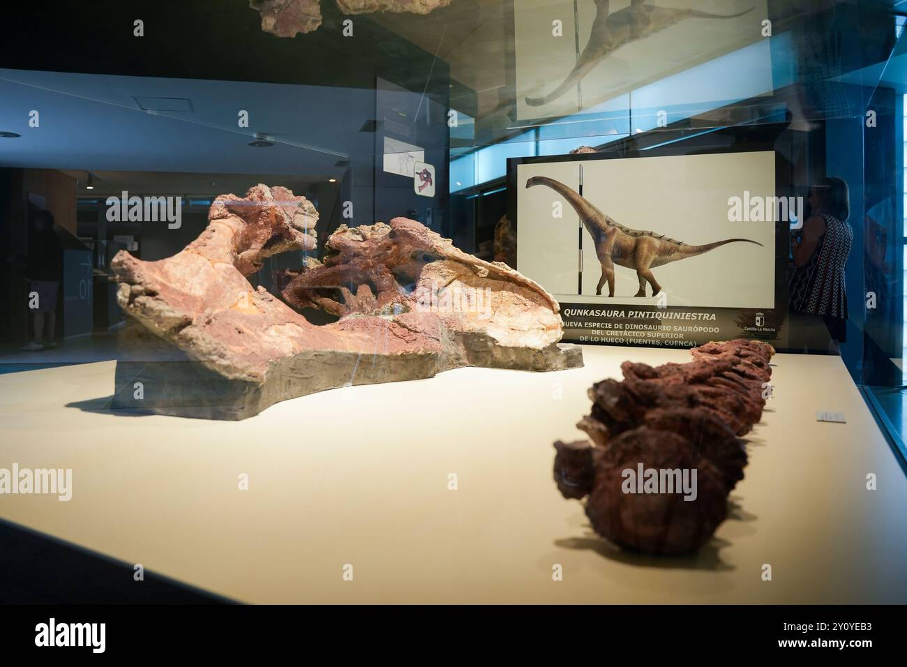 Bones of Qunkasaura pintiquiniestra during the publication of the 