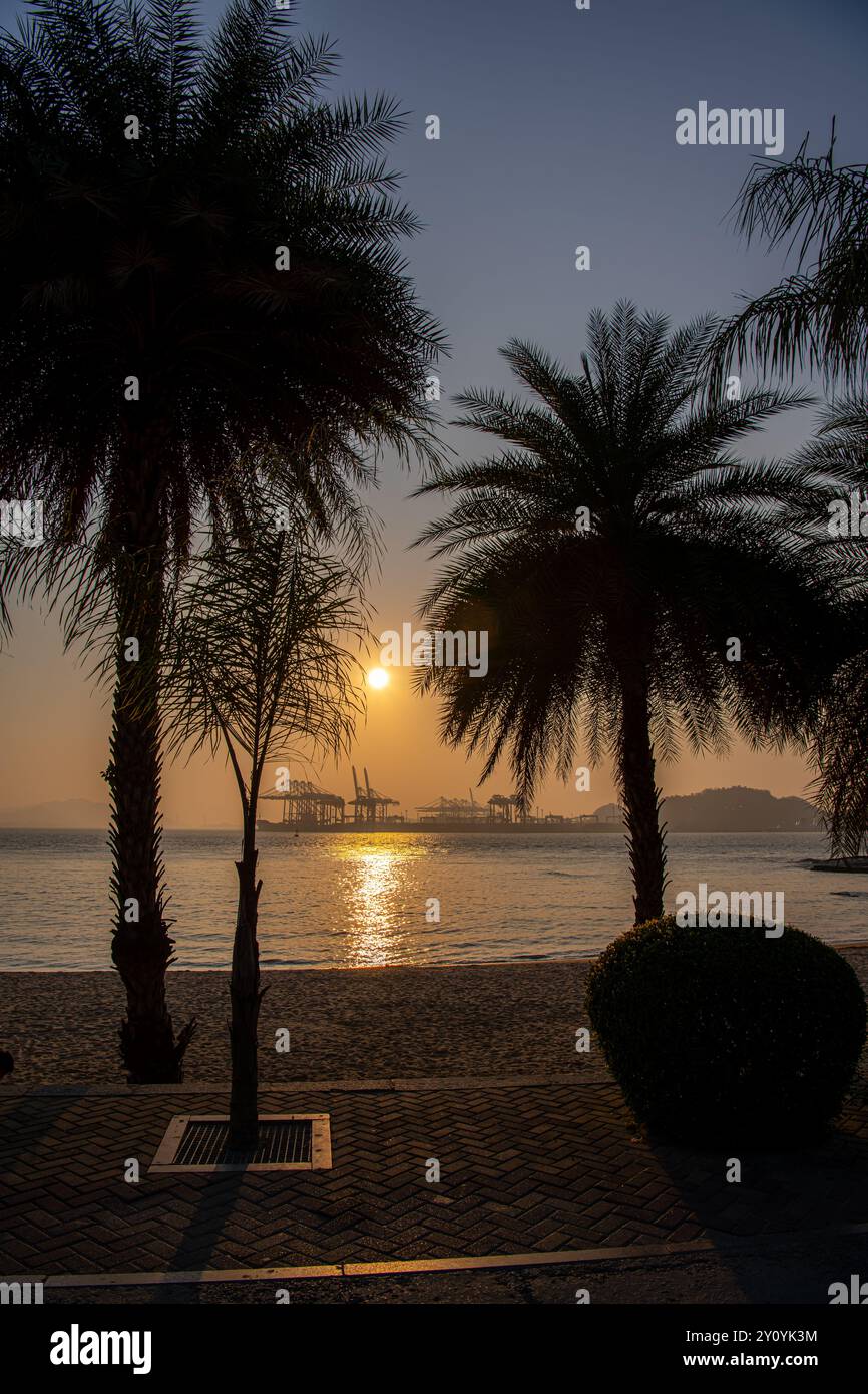 Beach in Gulangyu Island at sunset, Xiamen province, China, palm trees with copy space for text Stock Photo