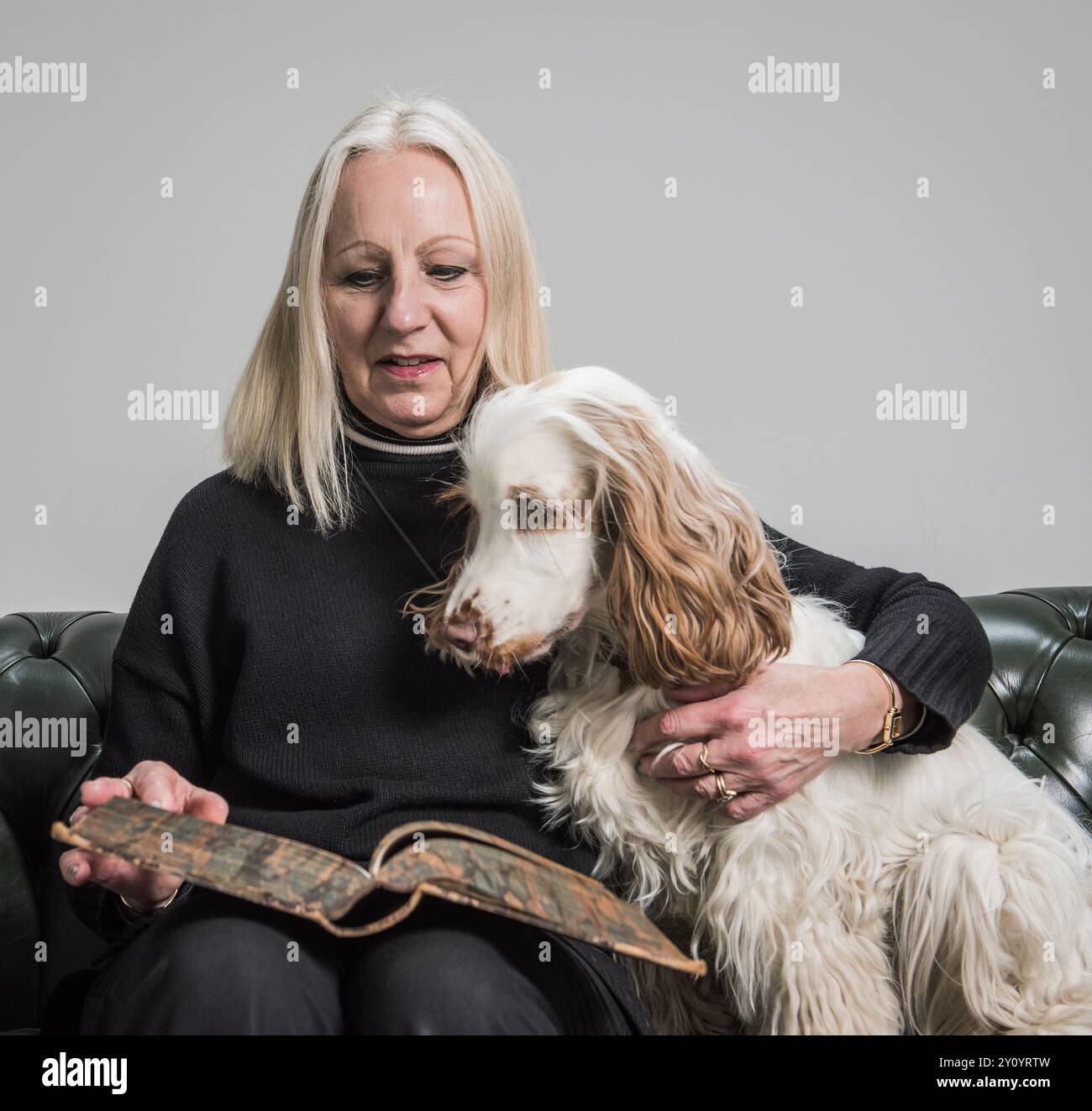 senior woman reading with spaniel dog on lap Stock Photo - Alamy