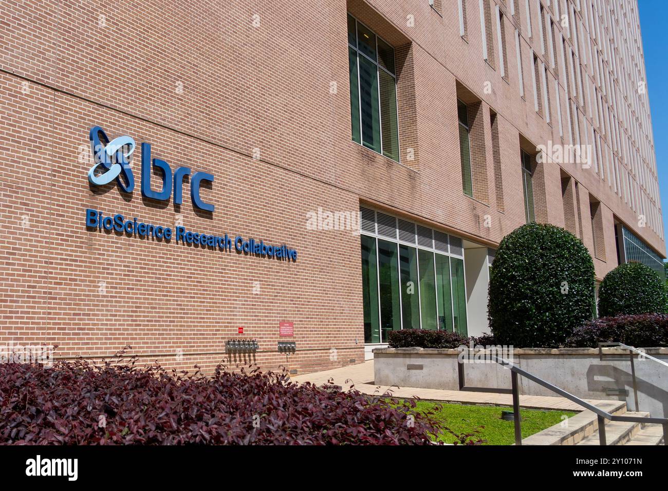 Rice science center hi-res stock photography and images - Alamy