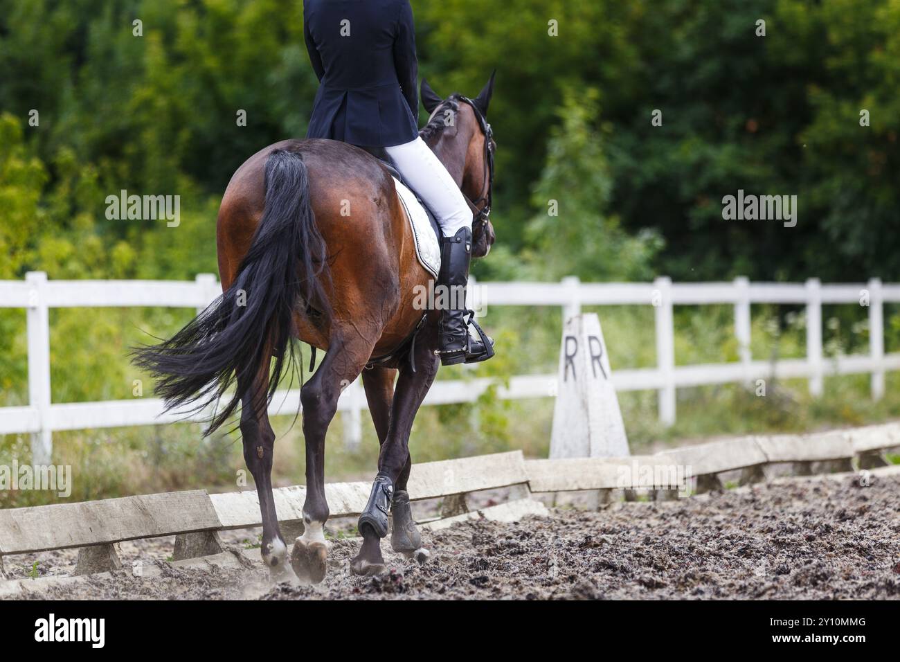 Female rider in formal attire guides a brown horse along a sandy ...