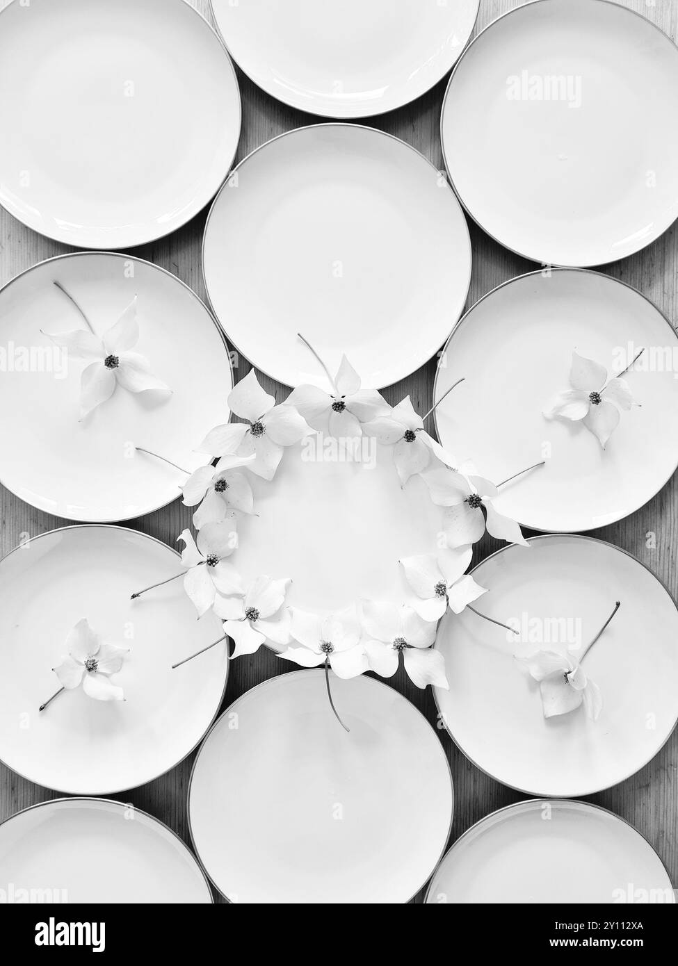 White plates with a gold rim are festively decorated with the flowers of the dogwood plant, preparation and decoration for a celebration Stock Photo