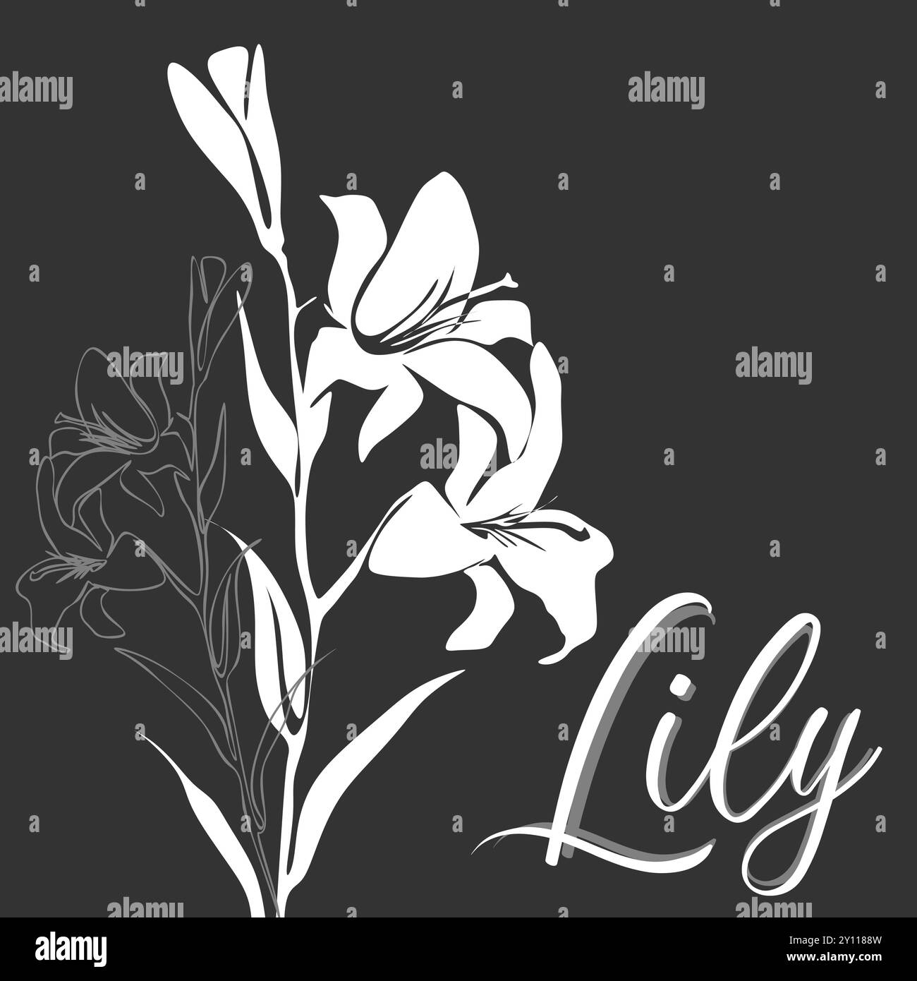 Lily for logo, decorations, card. invitation. Hand drawn white line and silhouette. Hand drawn line wedding decoration, elegant leaves for invitation Stock Vector