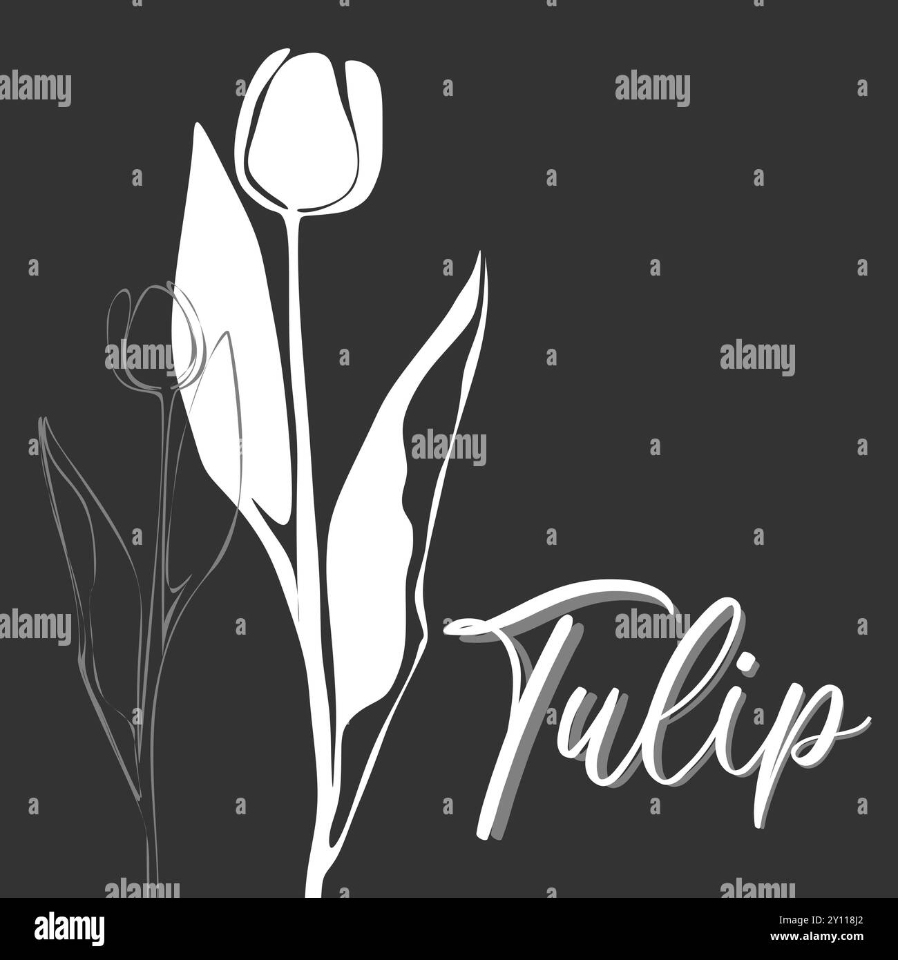 Tulip for logo, decorations, card. invitation. Hand drawn white line and silhouette. Hand drawn line wedding decoration, elegant leaves for invitation Stock Vector