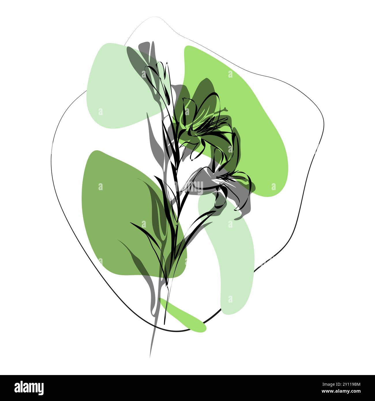 Lily for logo, decorations, card. invitation. Hand drawn transparent line and silhouette. Hand drawn line wedding decoration, elegant leaves for invit Stock Vector
