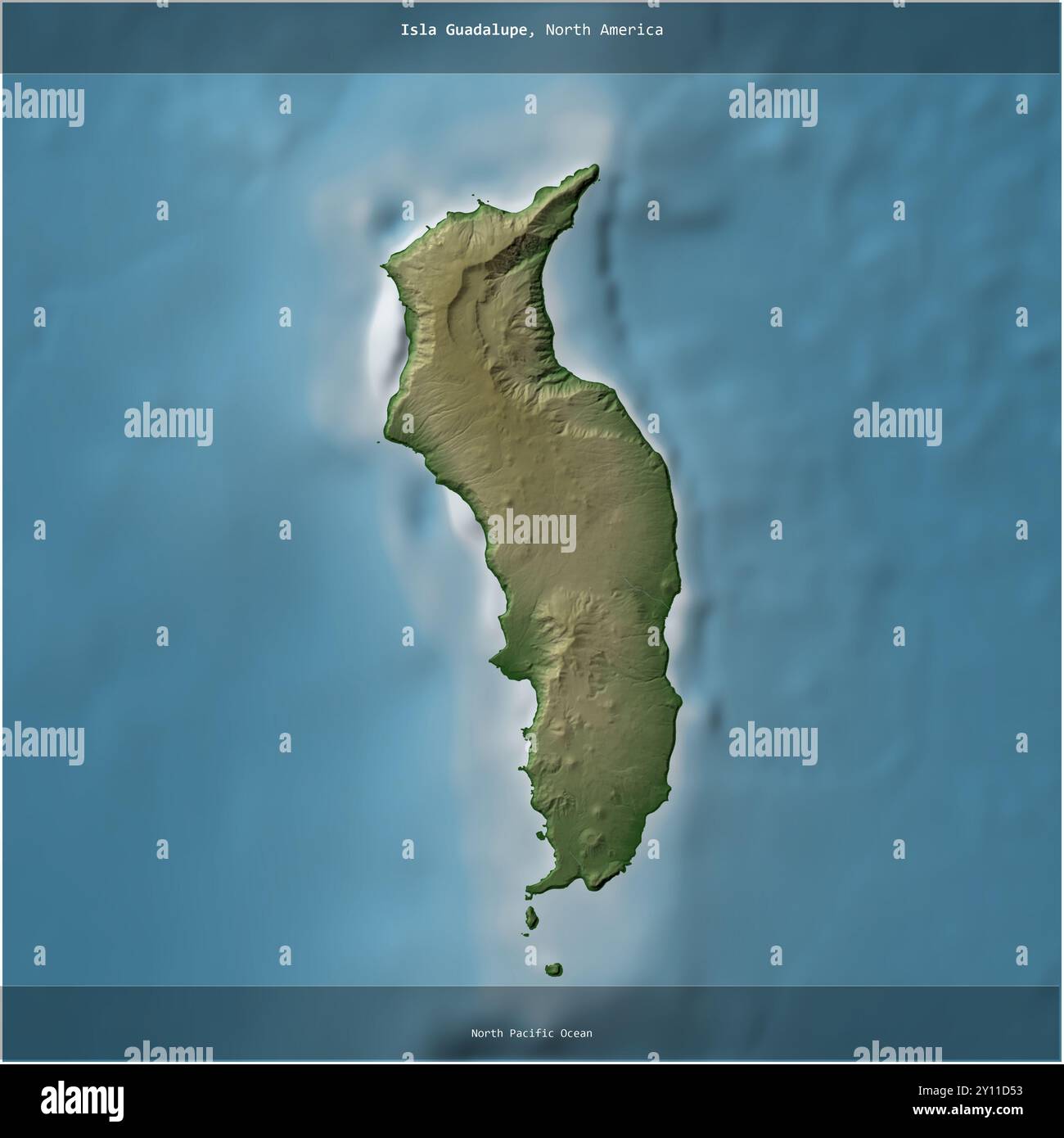 Isla Guadalupe in the North Pacific Ocean, belonging to Mexico, cropped to square on a colored elevation map Stock Photo