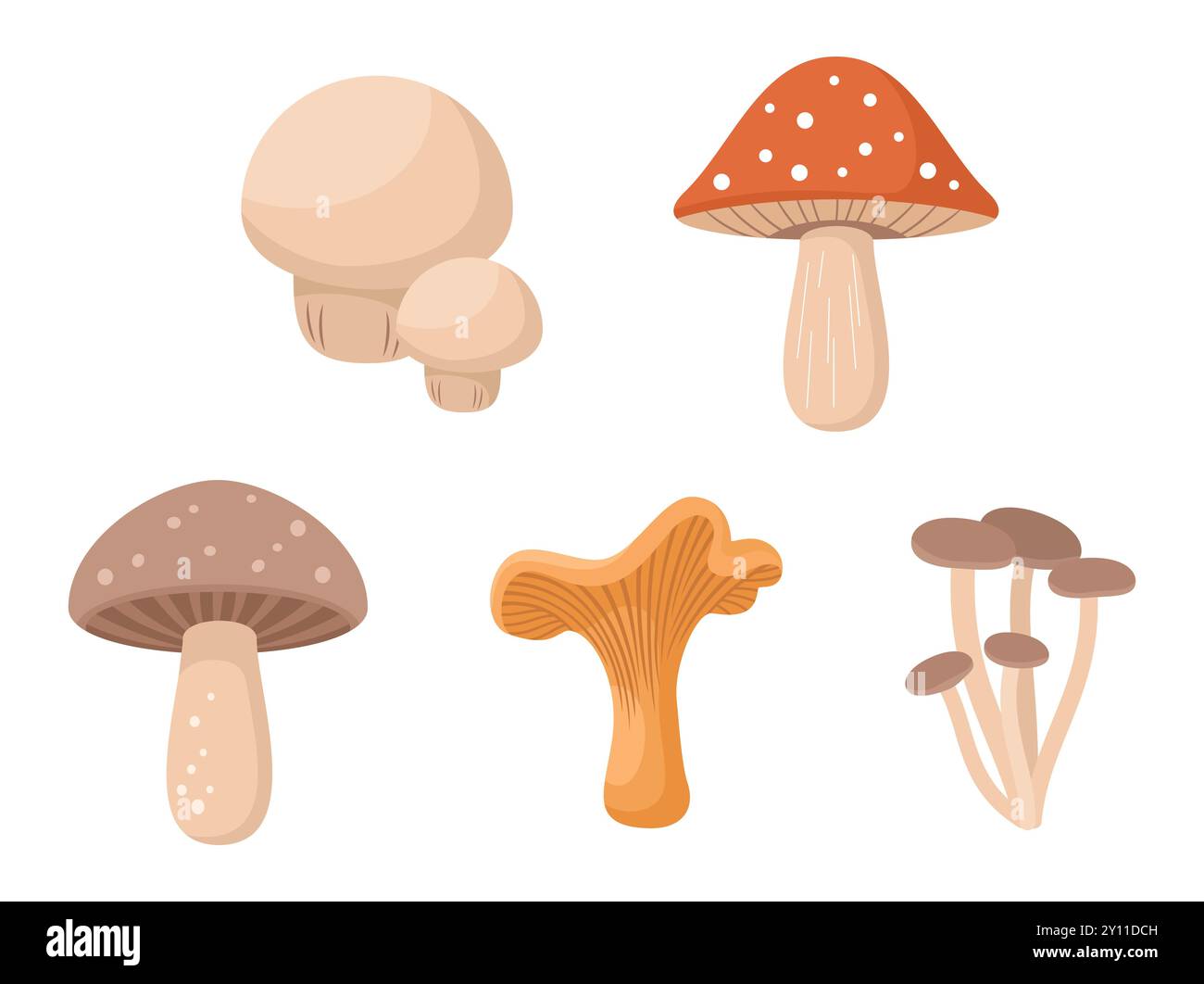 Set of forest mushrooms isolated on a white background. Flat vector illustration Stock Vector