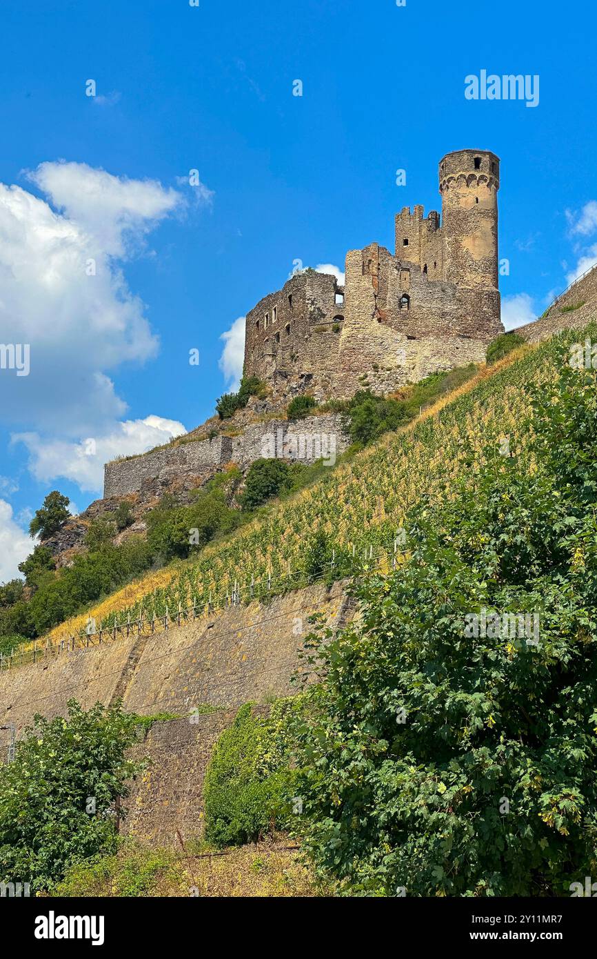 Germany, Hesse, Rheingau, Rhine, Ehrenfels Castle Stock Photo - Alamy