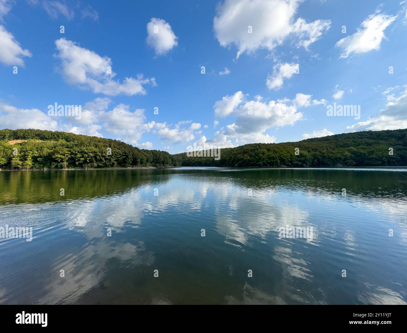 Clear lake surrounded by trees hi-res stock photography and images - Alamy