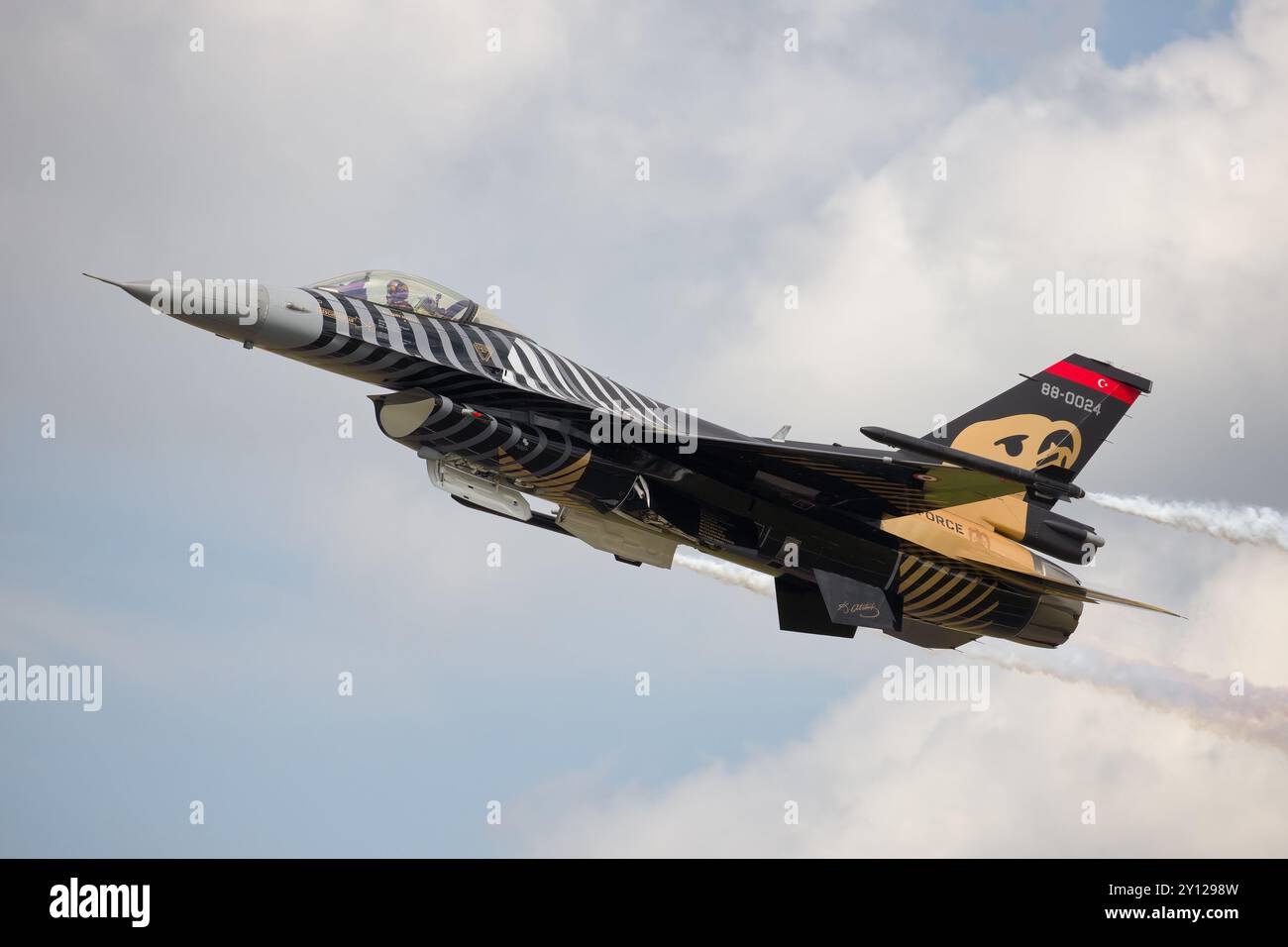 Tatoo martin hi-res stock photography and images - Alamy, image size:1300x956