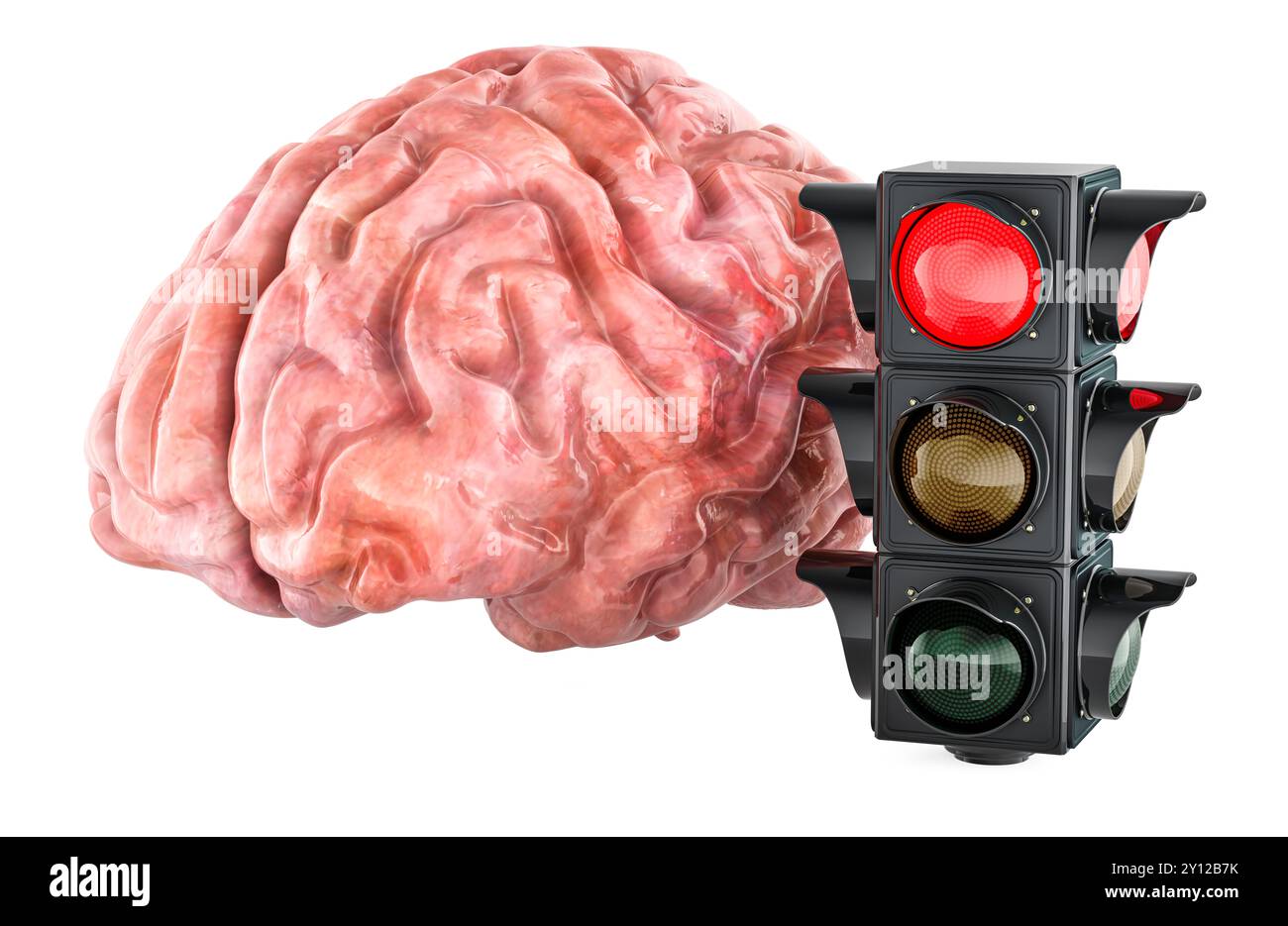 Human brain and traffic signal with red color, 3D rendering isolated on ...