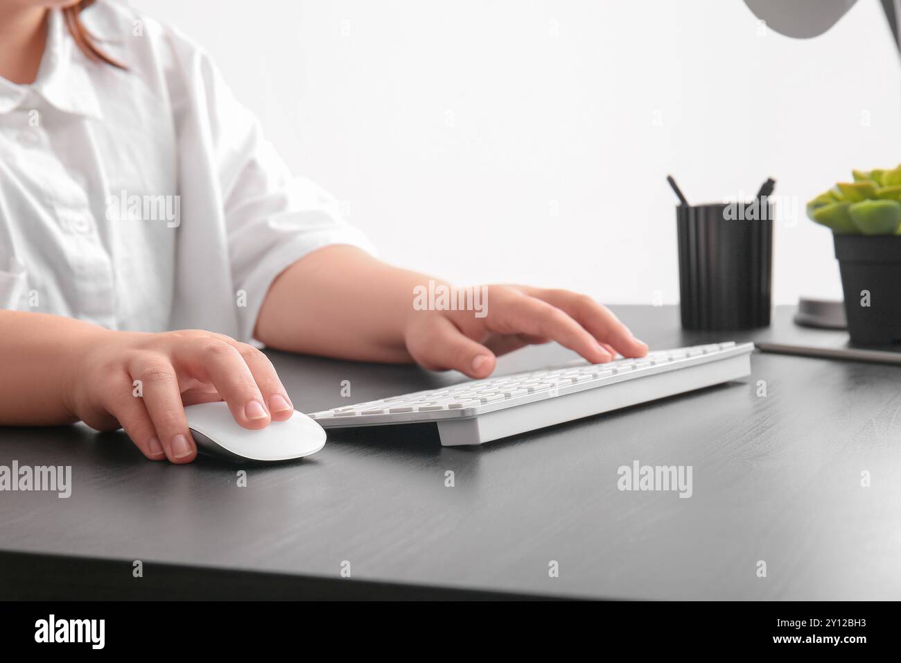 Female programmer using computer keyboard and mouse on table in office Stock Photo