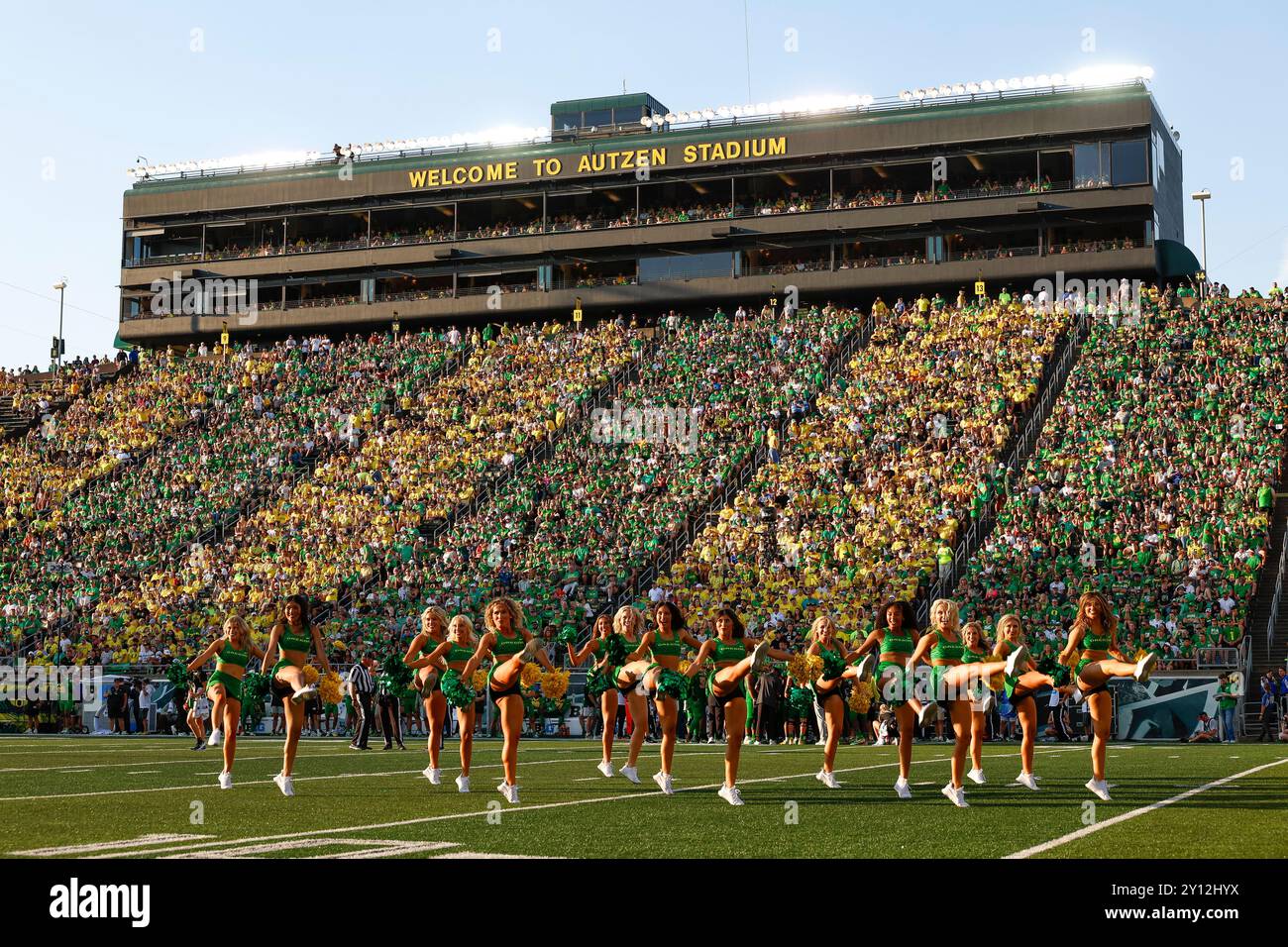 Oregon Ducks cheerleaders entertain on the field during the first half of a game against the Idaho Vandals at Autzen Stadium on August 31, 2024 in Eug Stock Photo