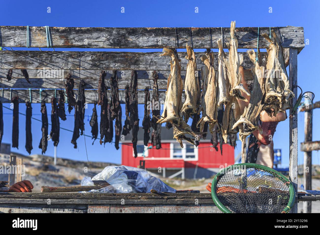 Dried fish, seal meat, whale meat, Inuit settlement, Ittoqqortoormiit, East Greenland, Greenland, North America Stock Photo