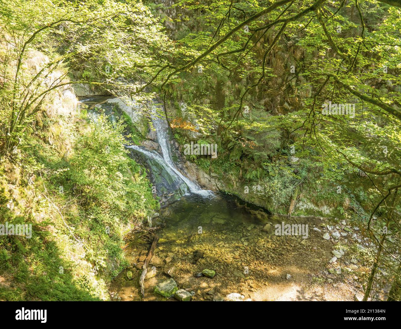 Small waterfalls in the middle of a forest Stock Photo - Alamy
