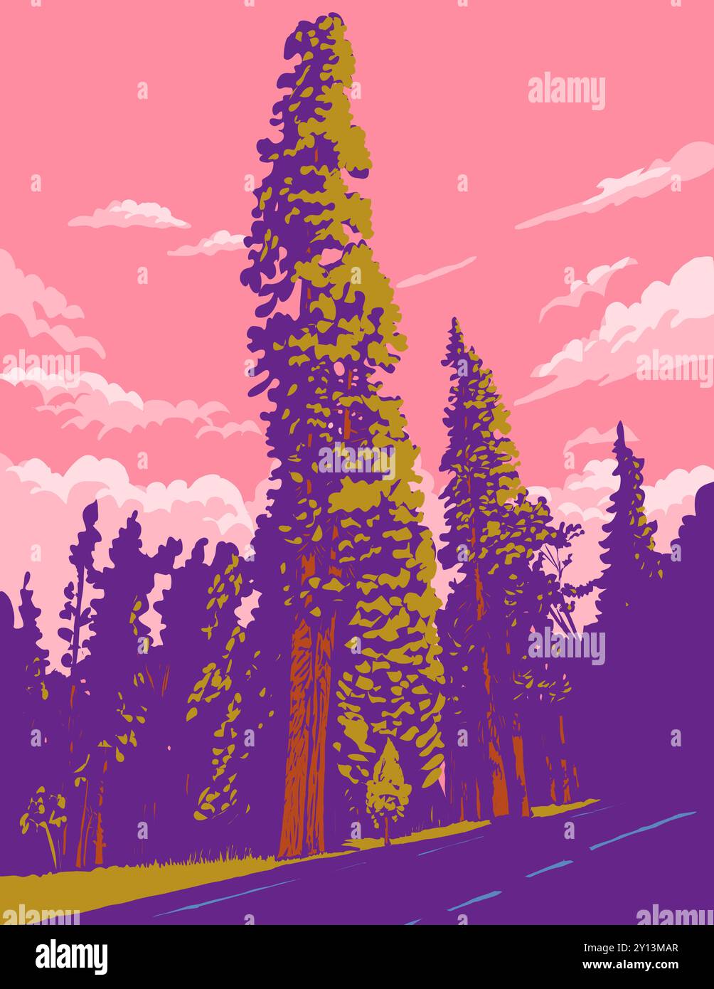 Sequoia Sempervirens California Redwood Stock Vector Images Alamy artofit