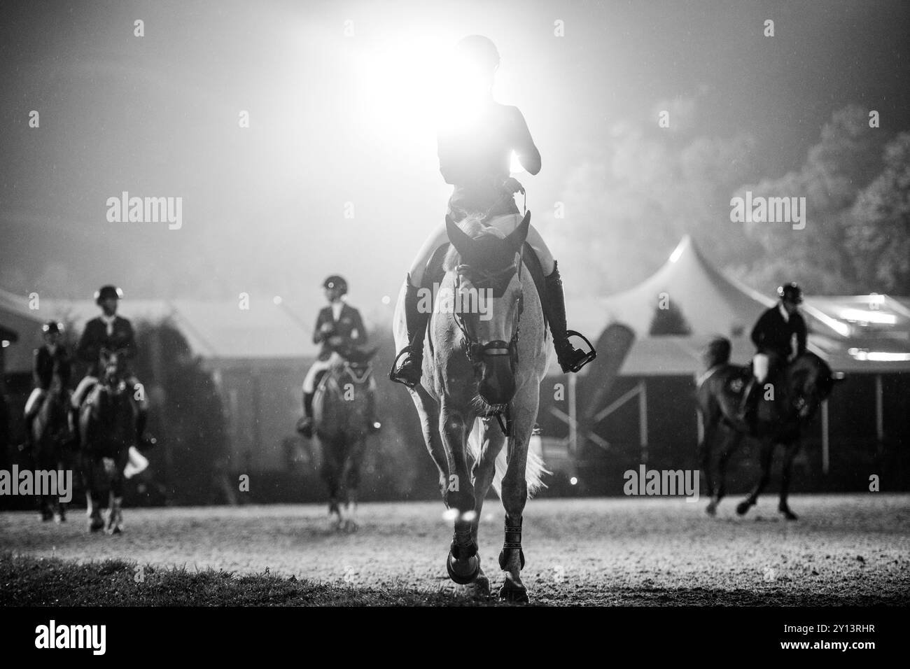 Horse show life Stock Photo - Alamy