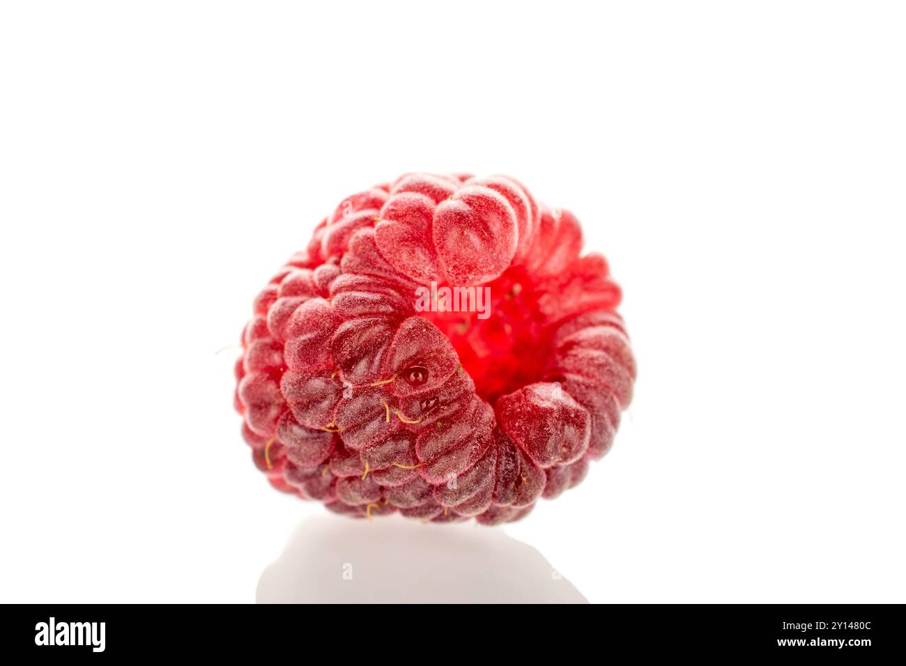 One raspberry berry, macro, isolated on white background Stock Photo ...