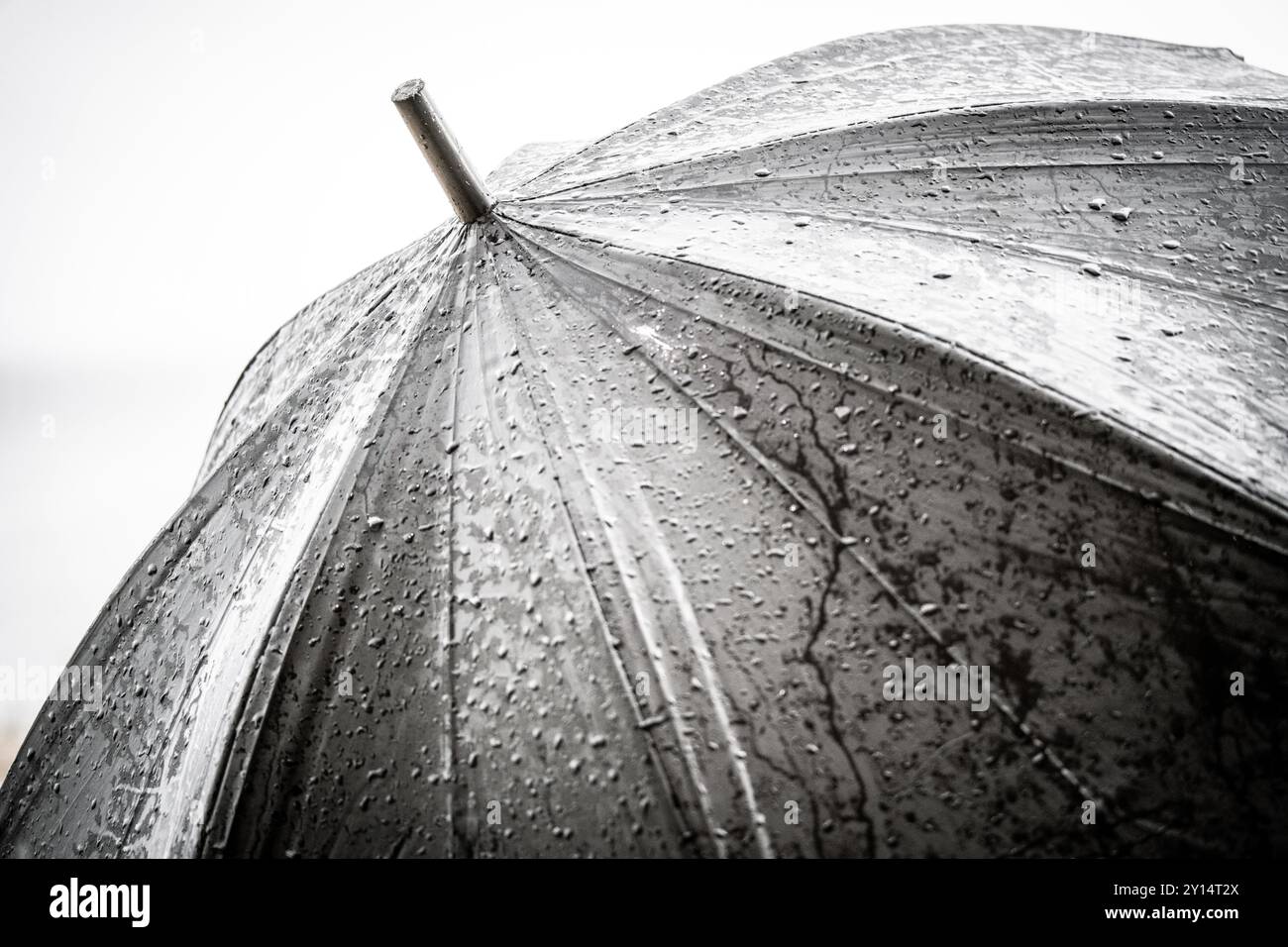 Umbrella rain shelter drizzle hi-res stock photography and images - Alamy