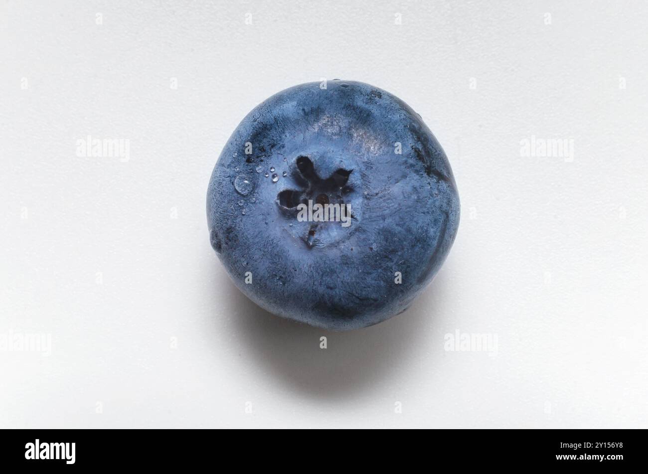 One purple blueberry berry. Isolated on white background. With cut ...