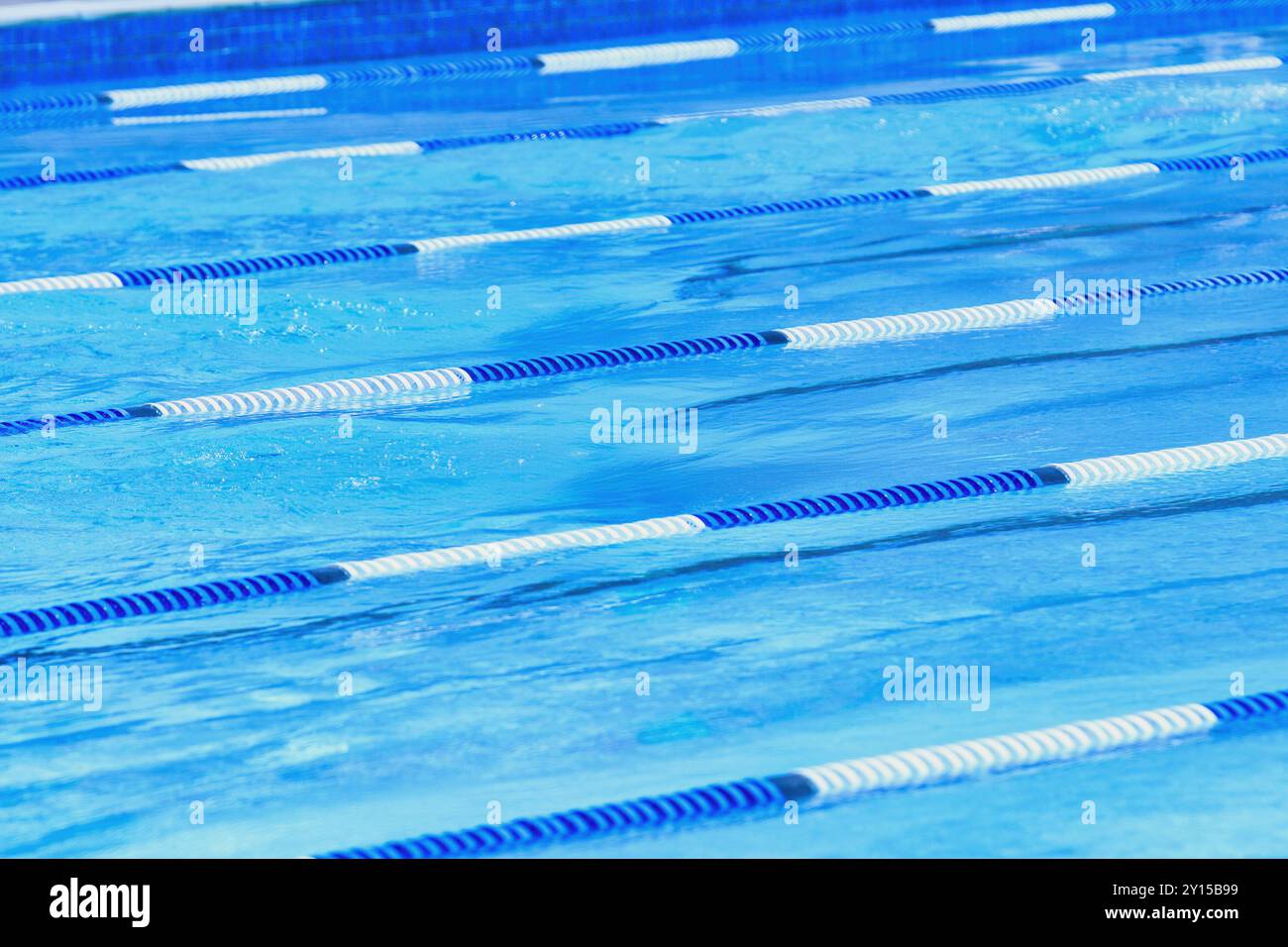 empty Olympic swimming pool , blue water , rope pool dividers design element Stock Photo